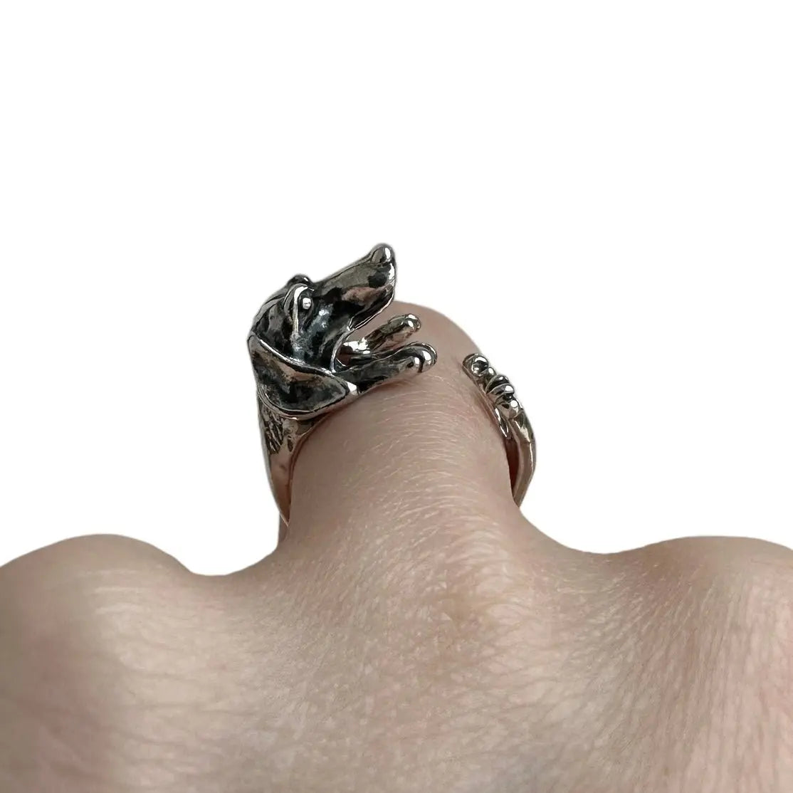 Ring - taxen - L8Hasselblad