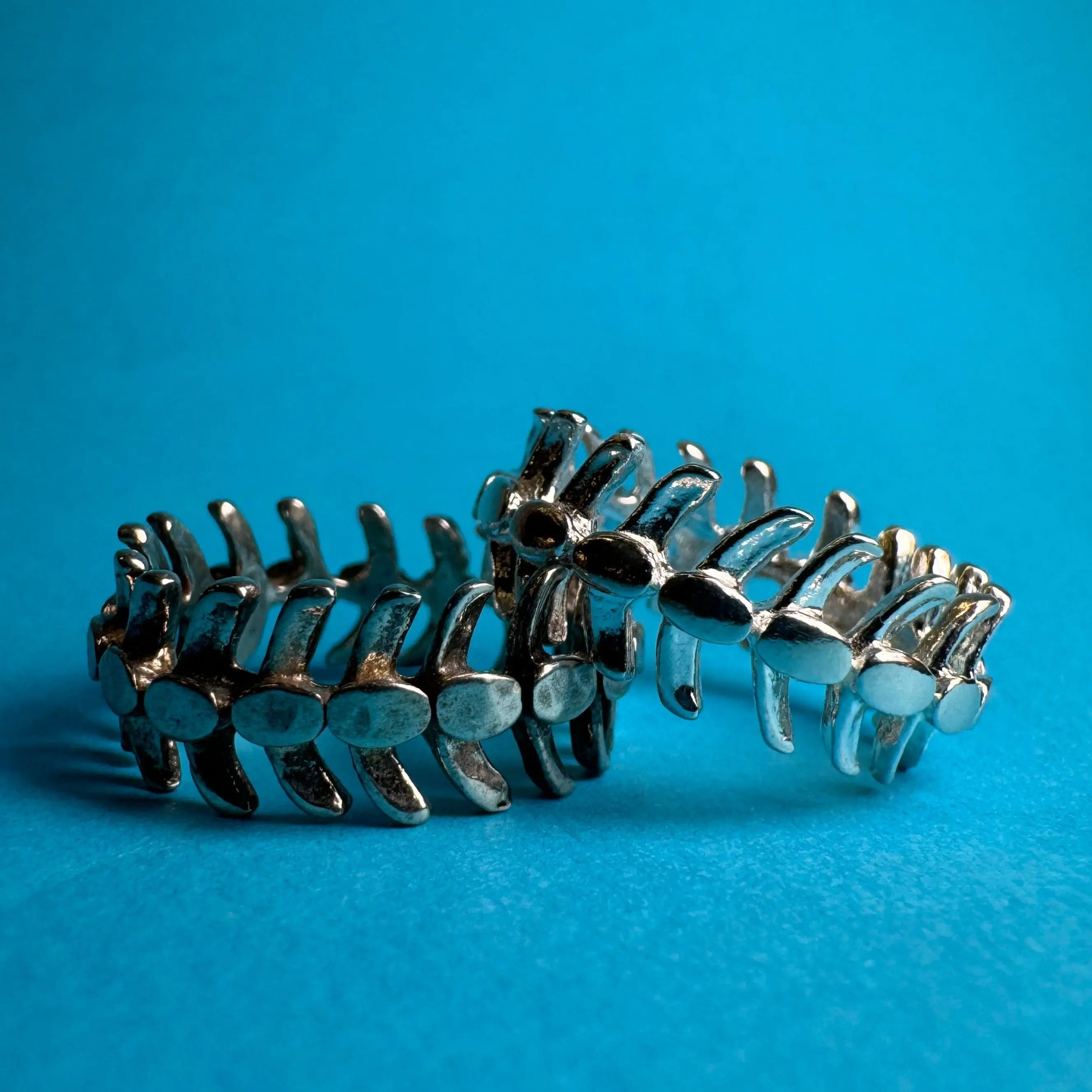 Ryggradsring - L8Hasselblad