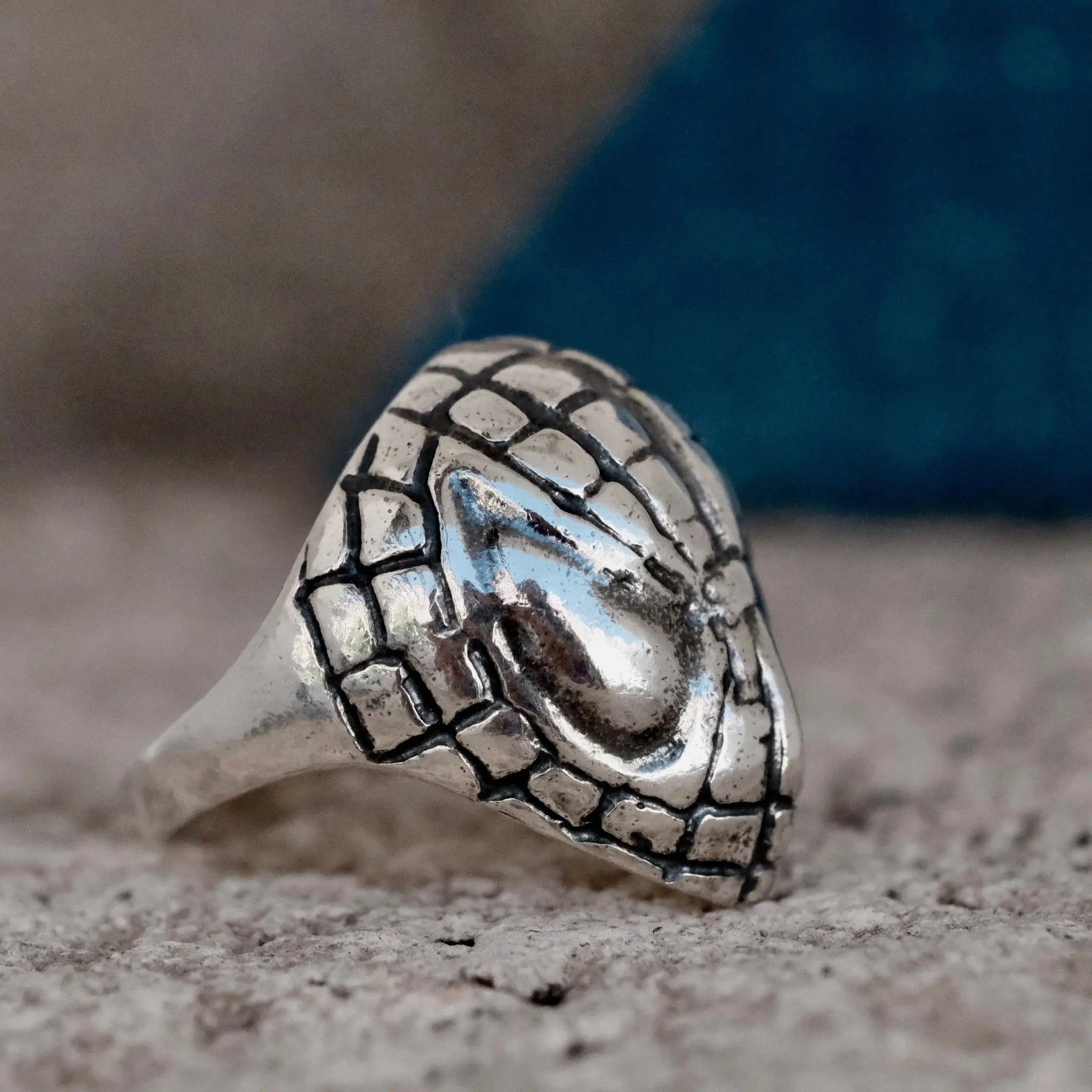 Spiderman - Ring L8Hasselblad