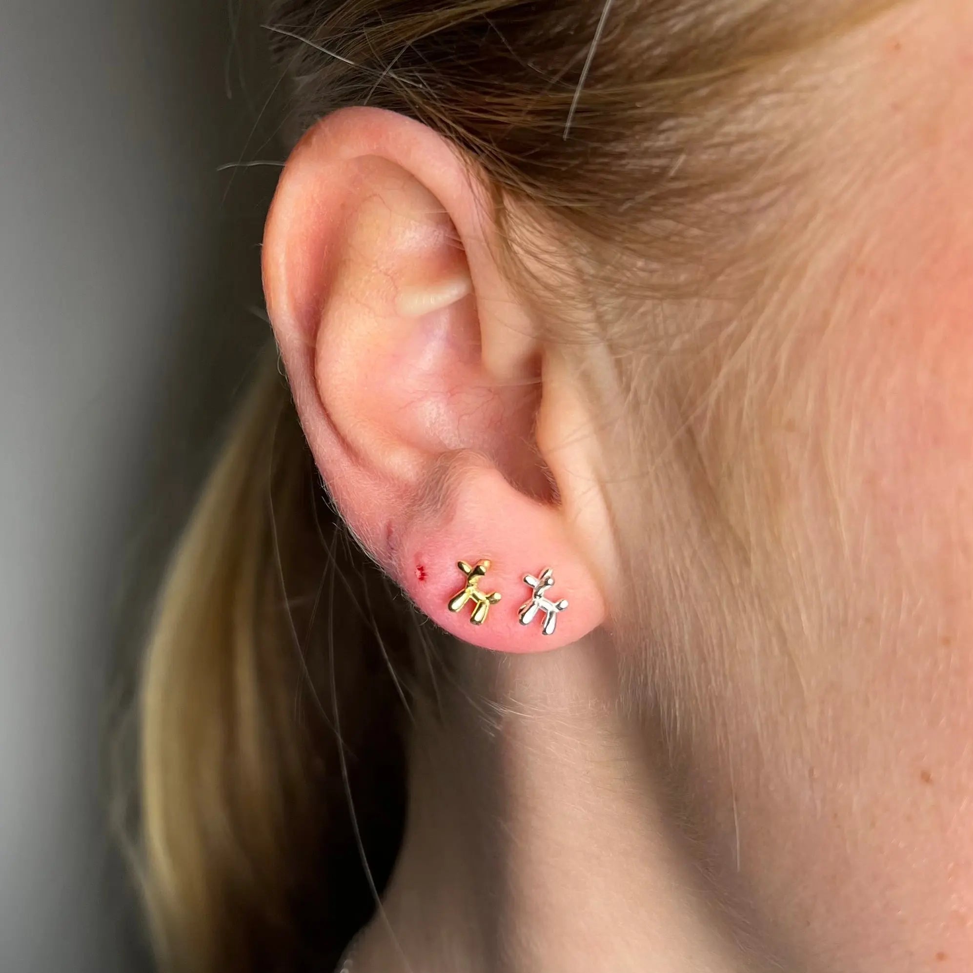 Stiftörhänge - Ballonghund - L8Hasselblad