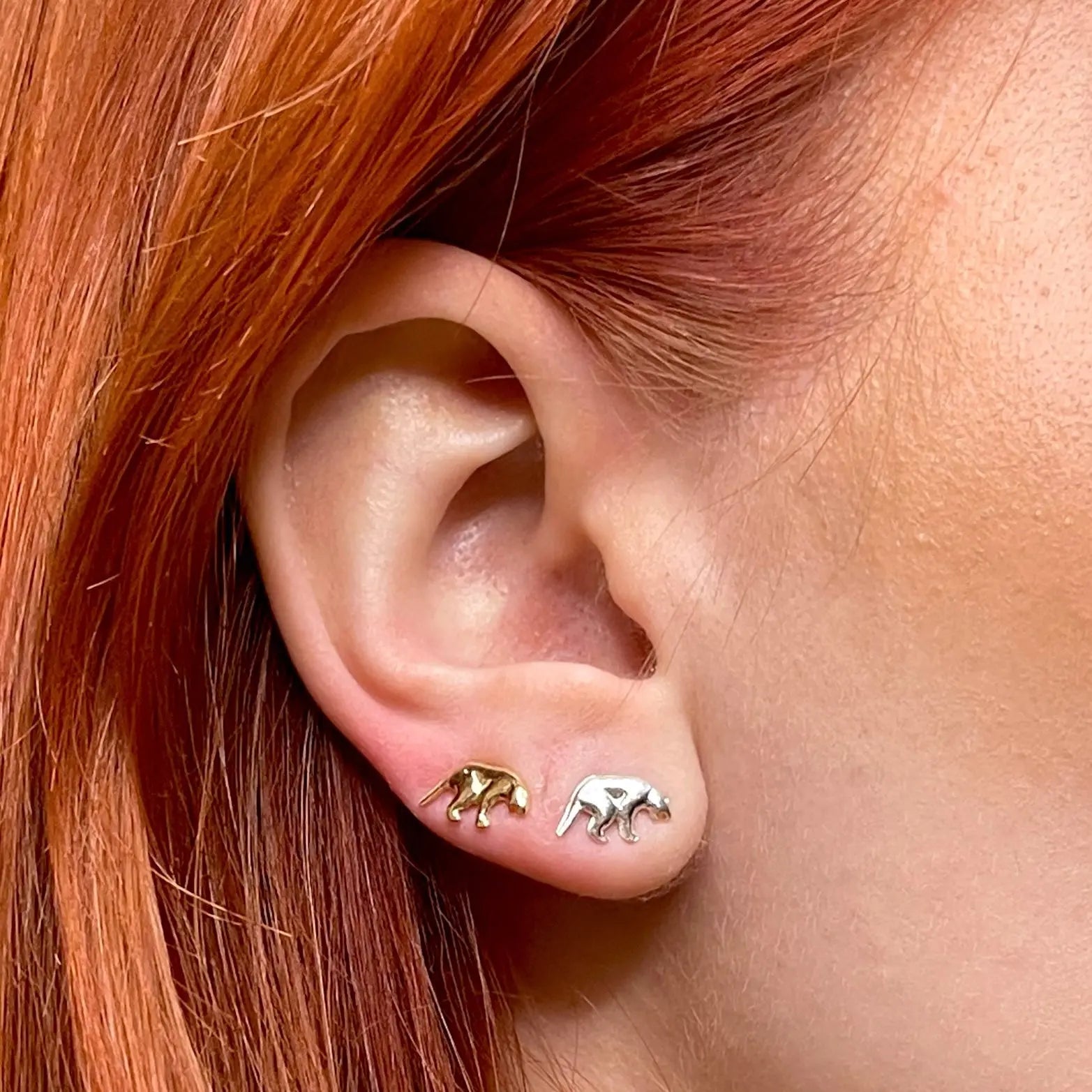 Stiftörhänge - Björn - L8Hasselblad