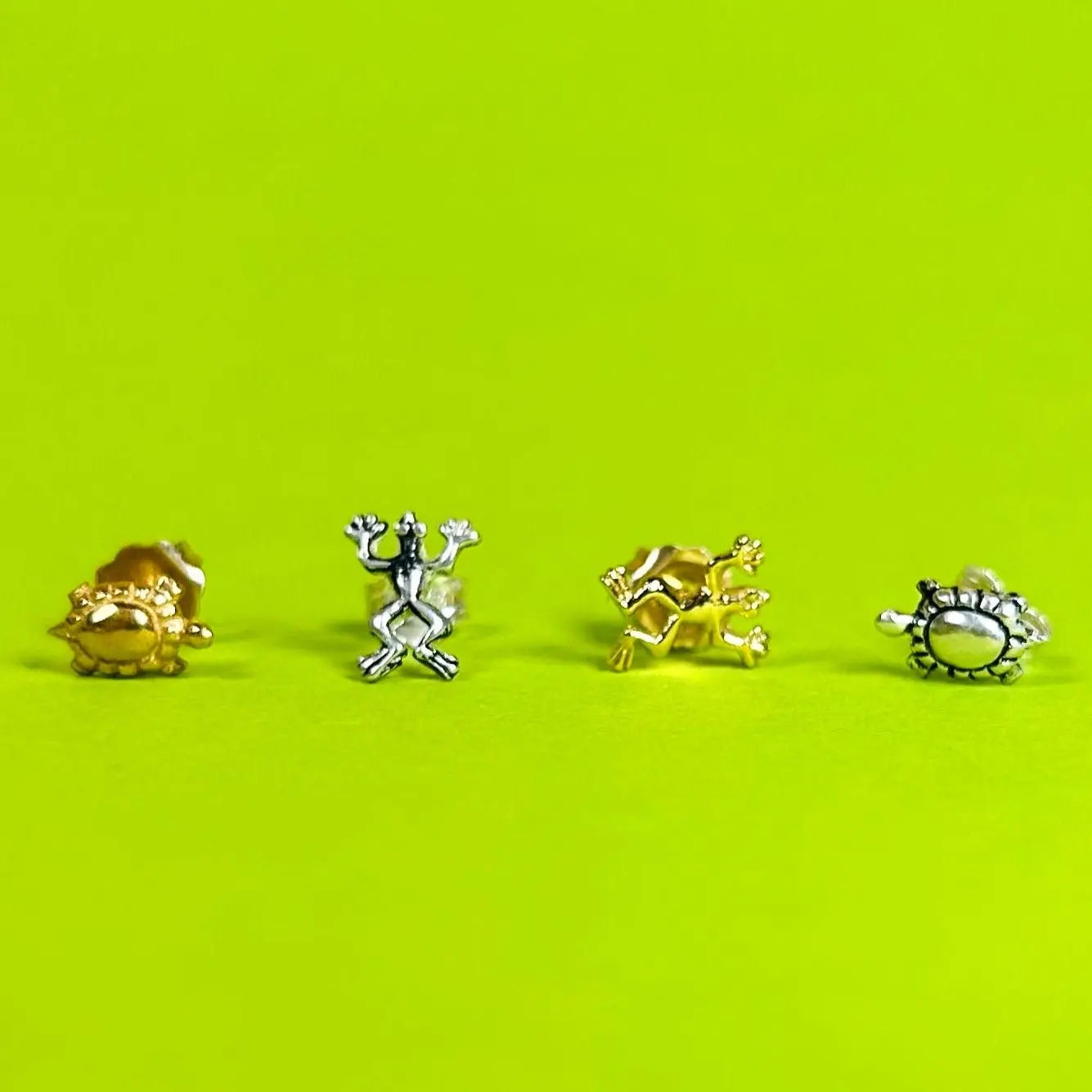 Stiftörhänge - Groda & Sköldpadda - L8Hasselblad