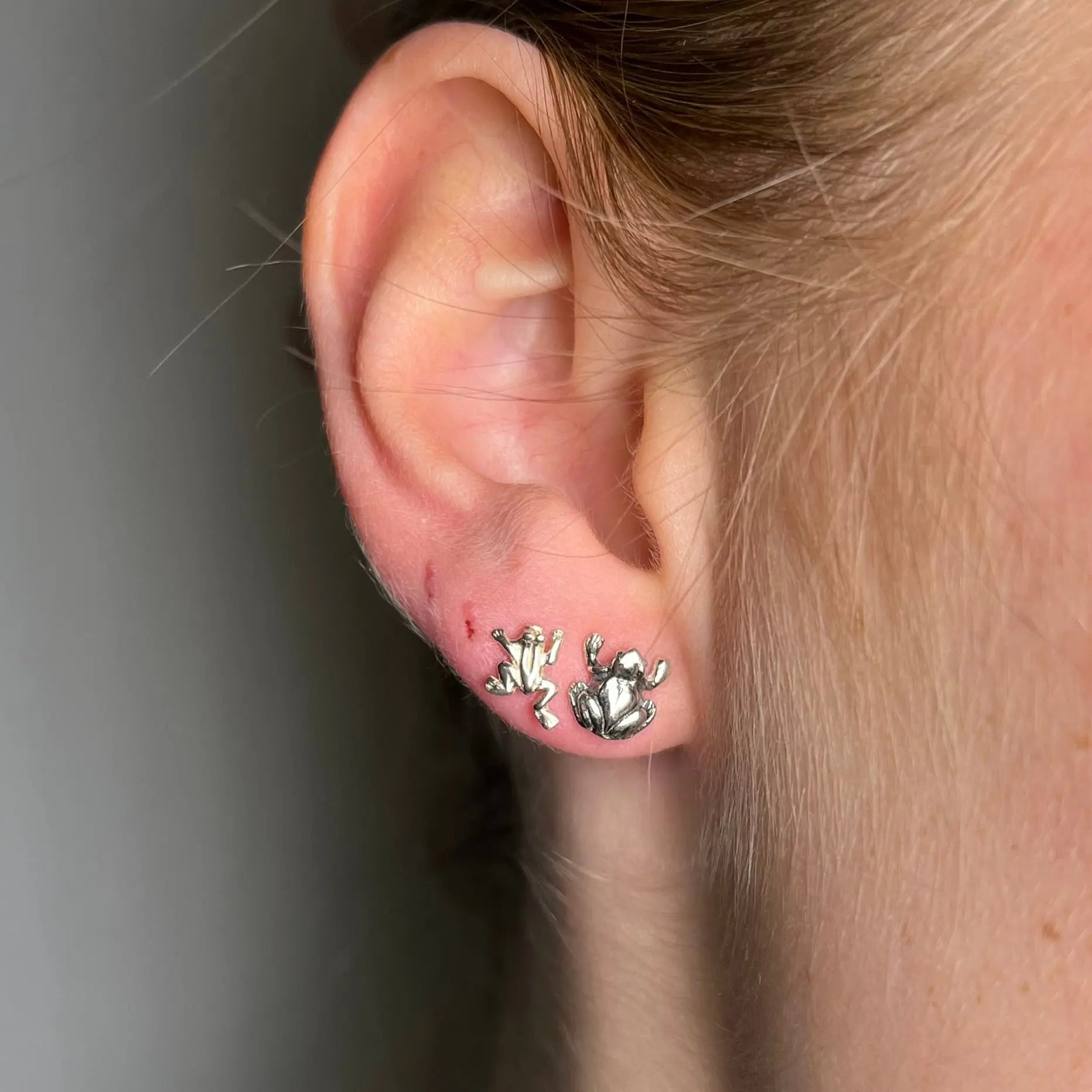 Stiftörhänge - Grodor - L8Hasselblad