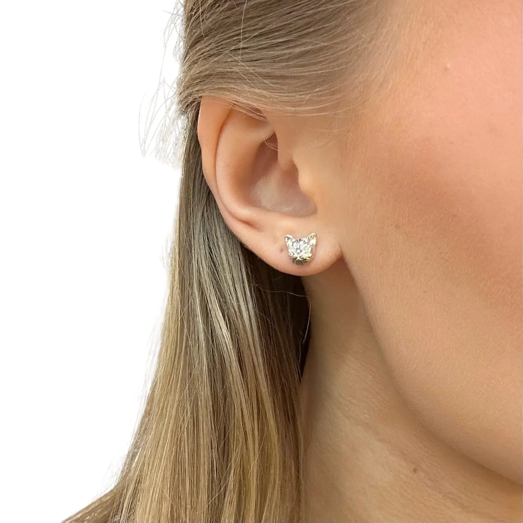 Stiftörhänge - Katter - L8Hasselblad