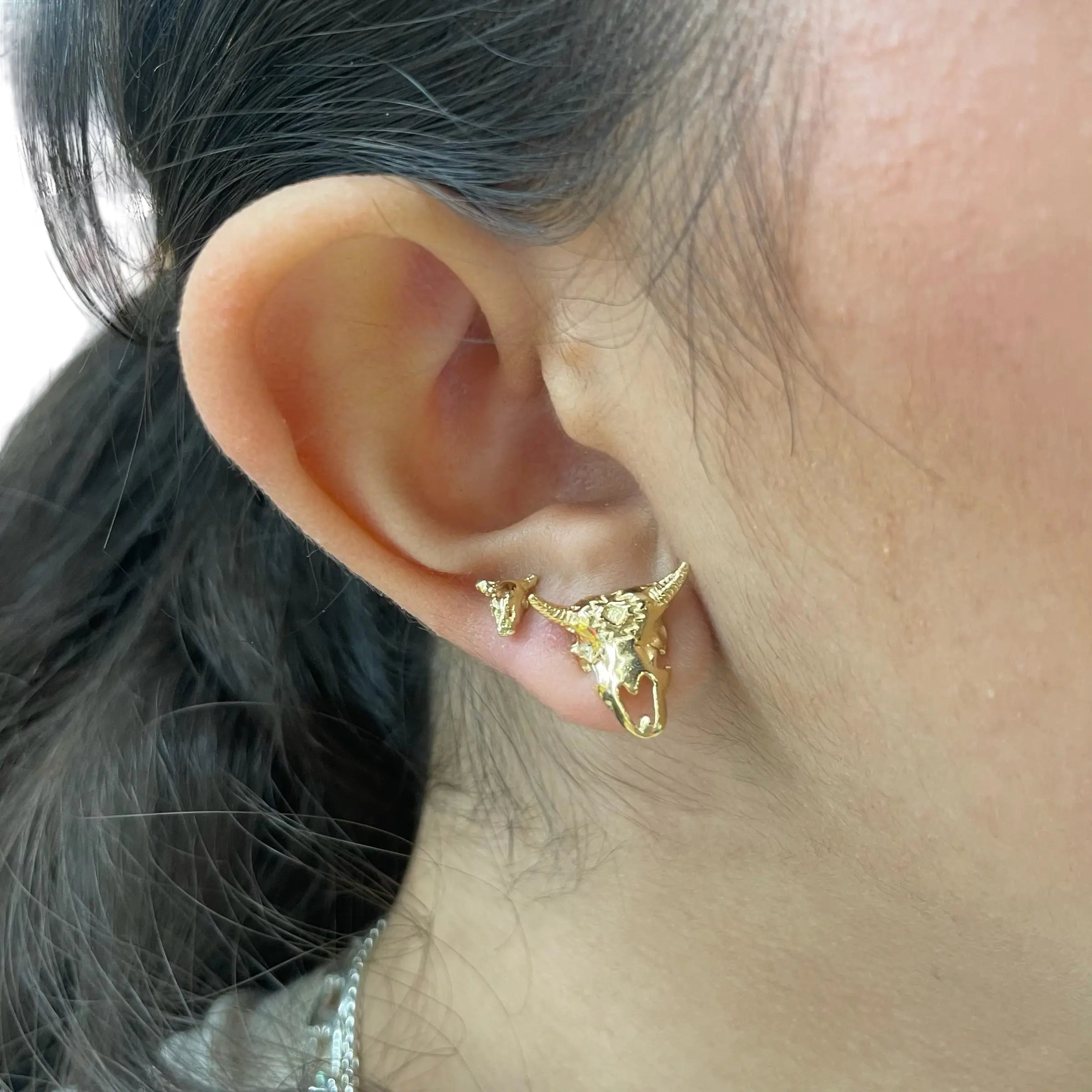 Stiftörhänge - Kranier - L8Hasselblad