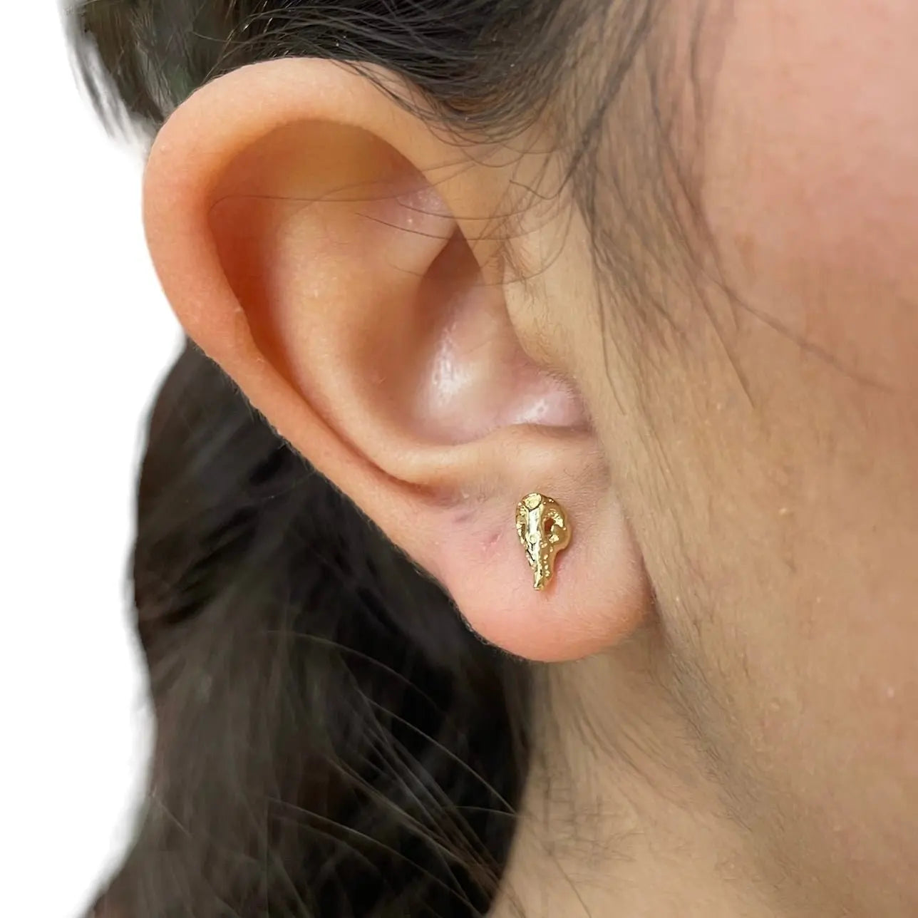 Stiftörhänge - Kranier - L8Hasselblad