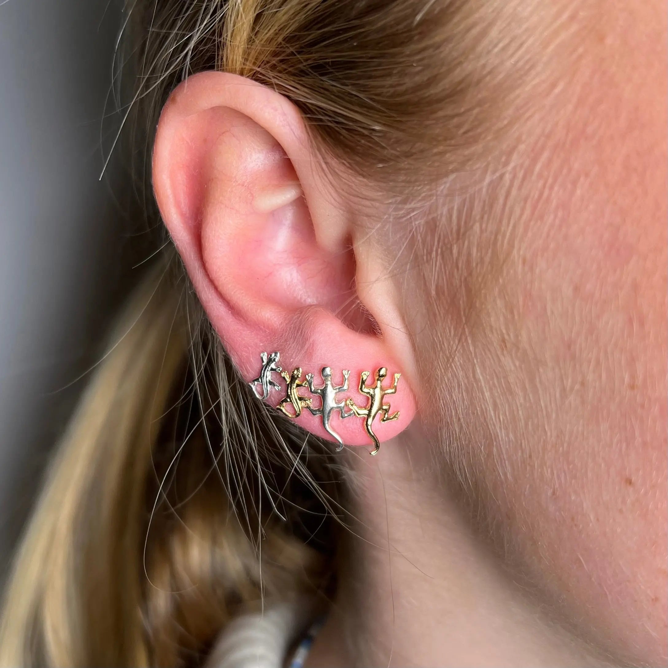 Stiftörhänge - Ödlor - L8Hasselblad