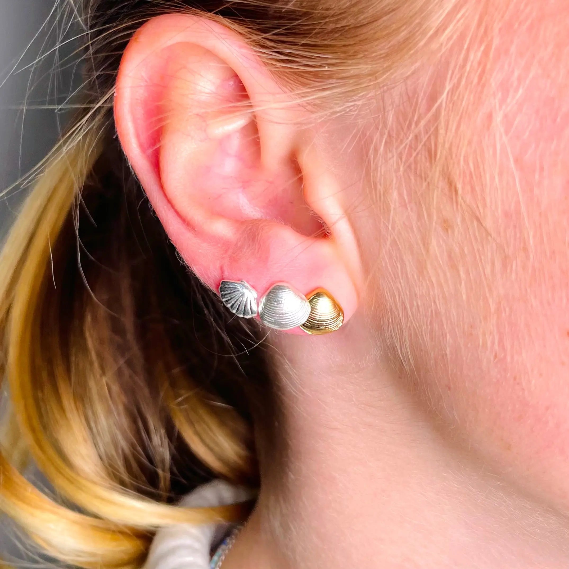 Stiftörhänge - Snäckor - L8Hasselblad