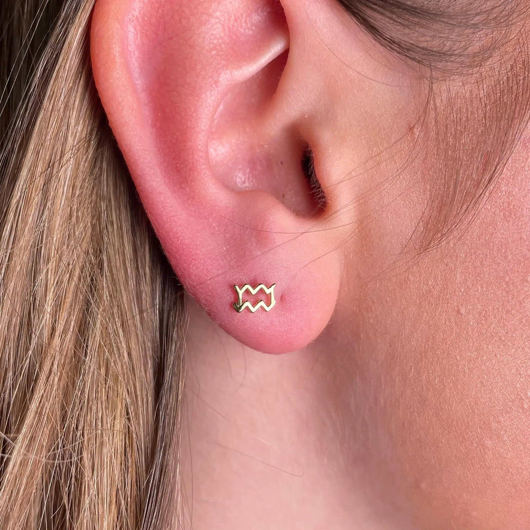 Stiftörhänge - Stjärntecken - L8Hasselblad