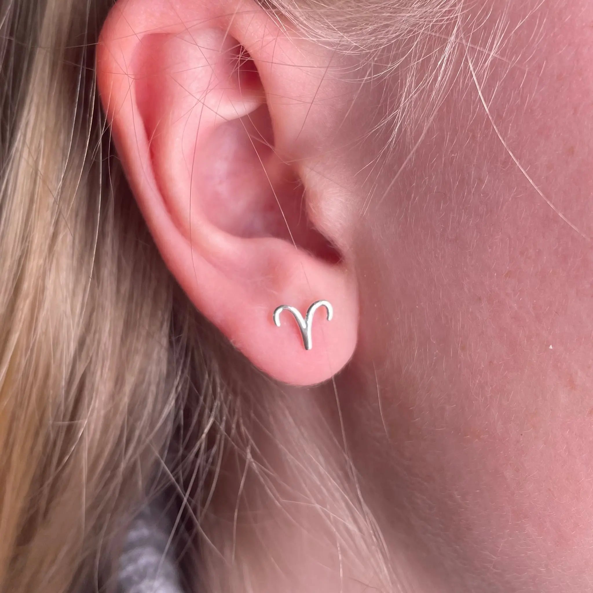 Stiftörhänge - Stjärntecken - L8Hasselblad