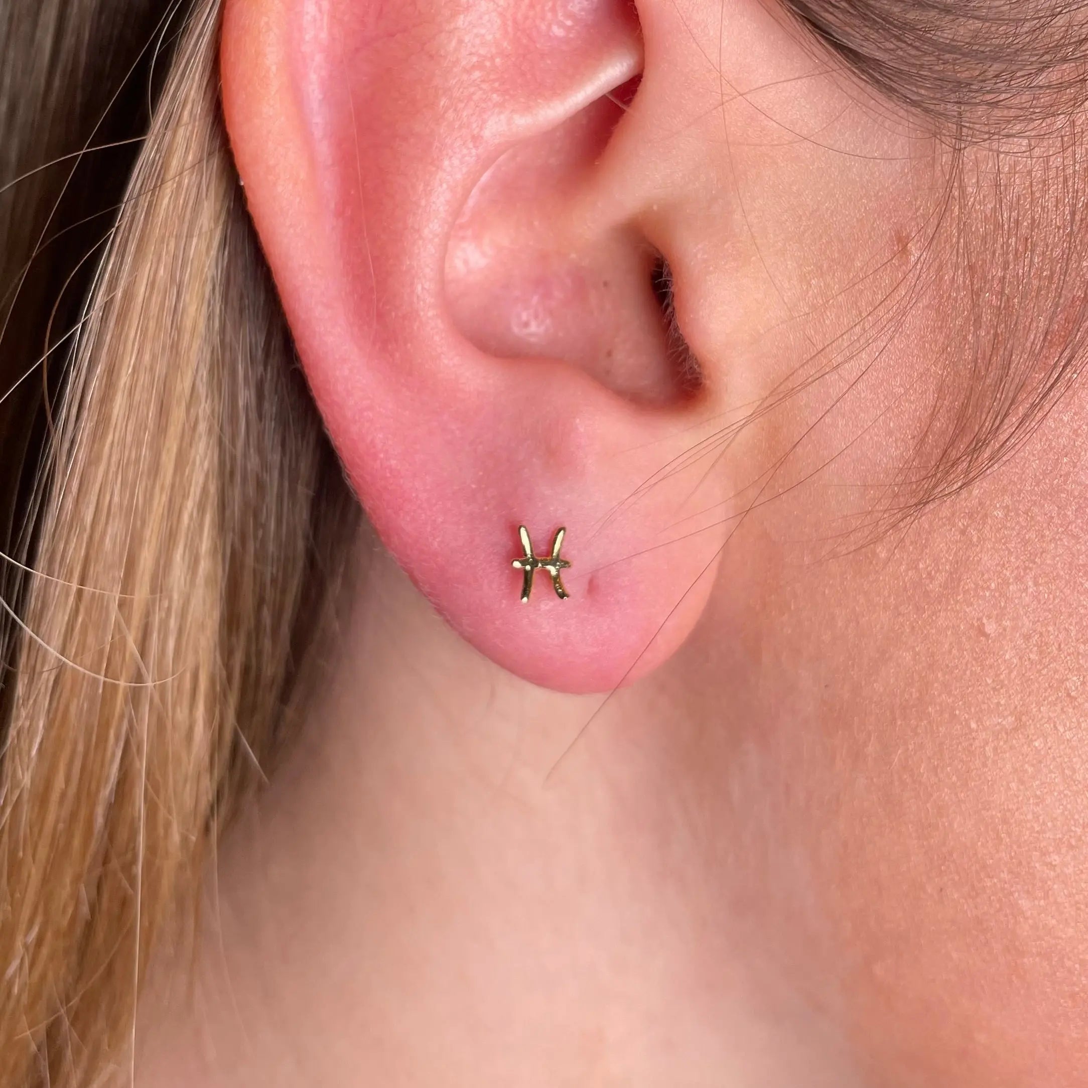 Stiftörhänge - Stjärntecken - L8Hasselblad