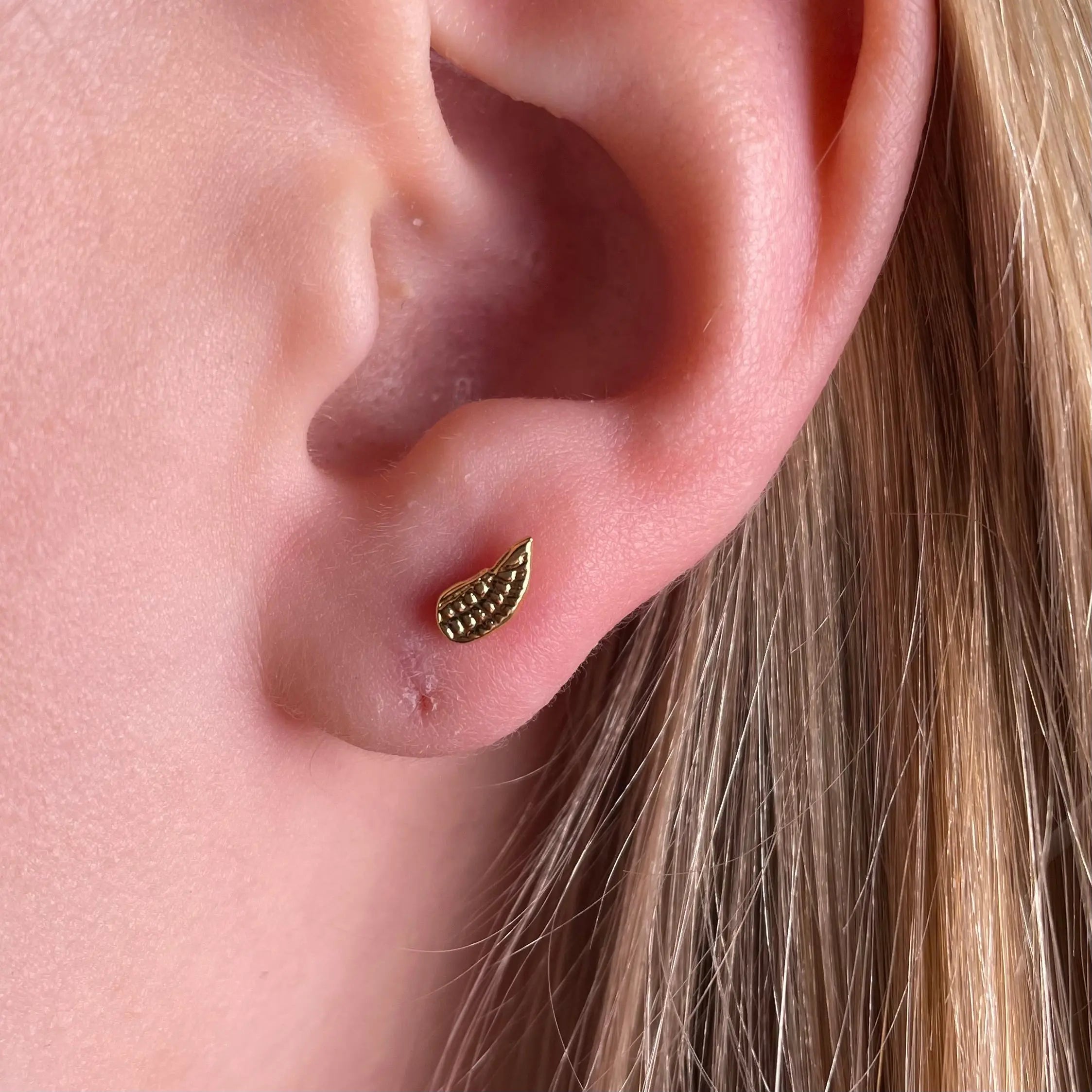 Stiftörhänge - Vingar - L8Hasselblad