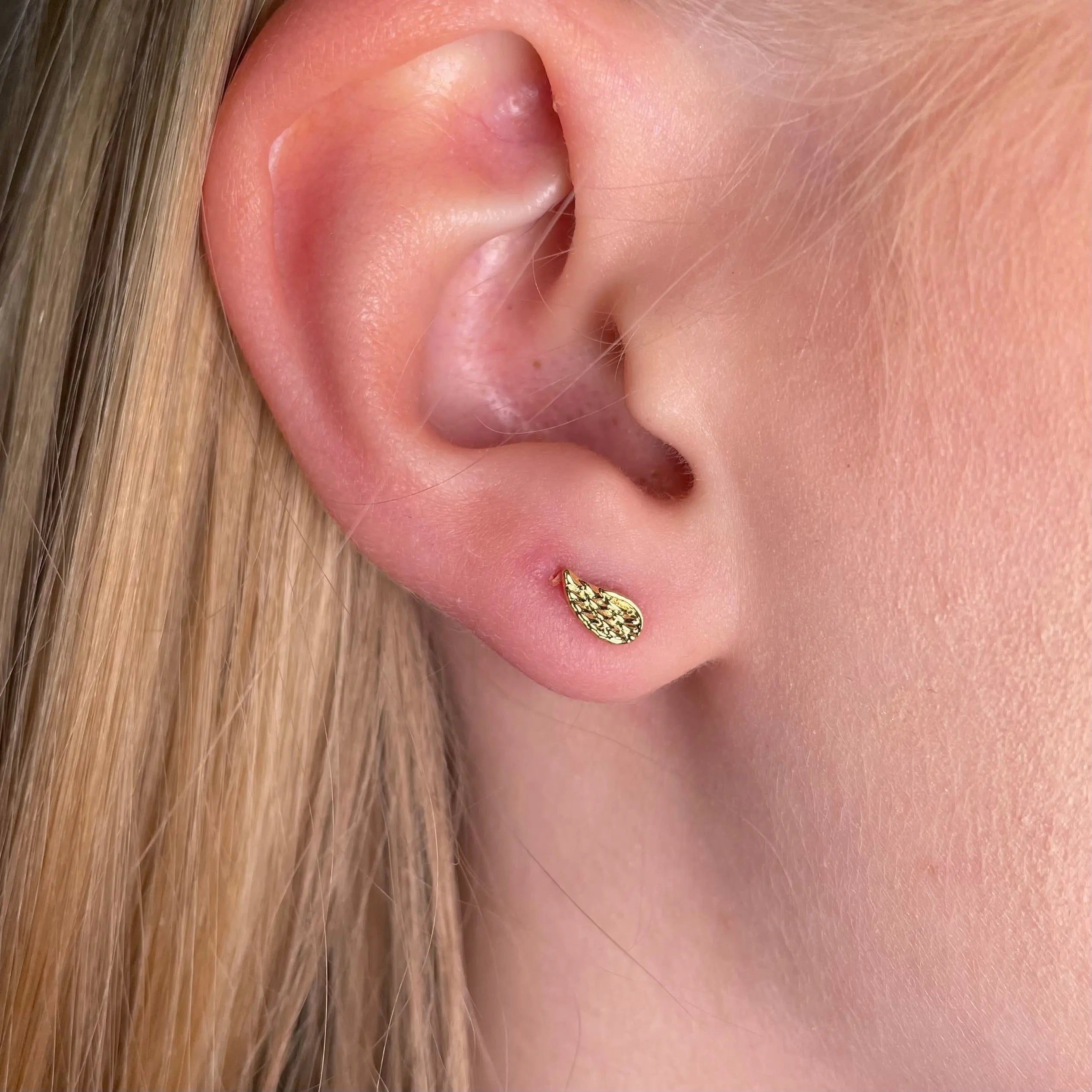 Stiftörhänge - Vingar - L8Hasselblad