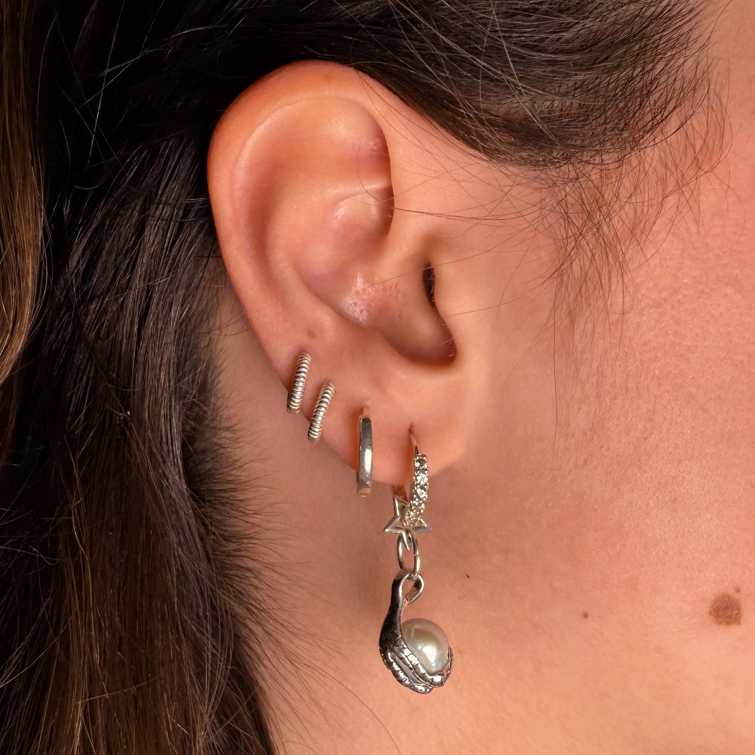 Stjärnklo - L8Hasselblad