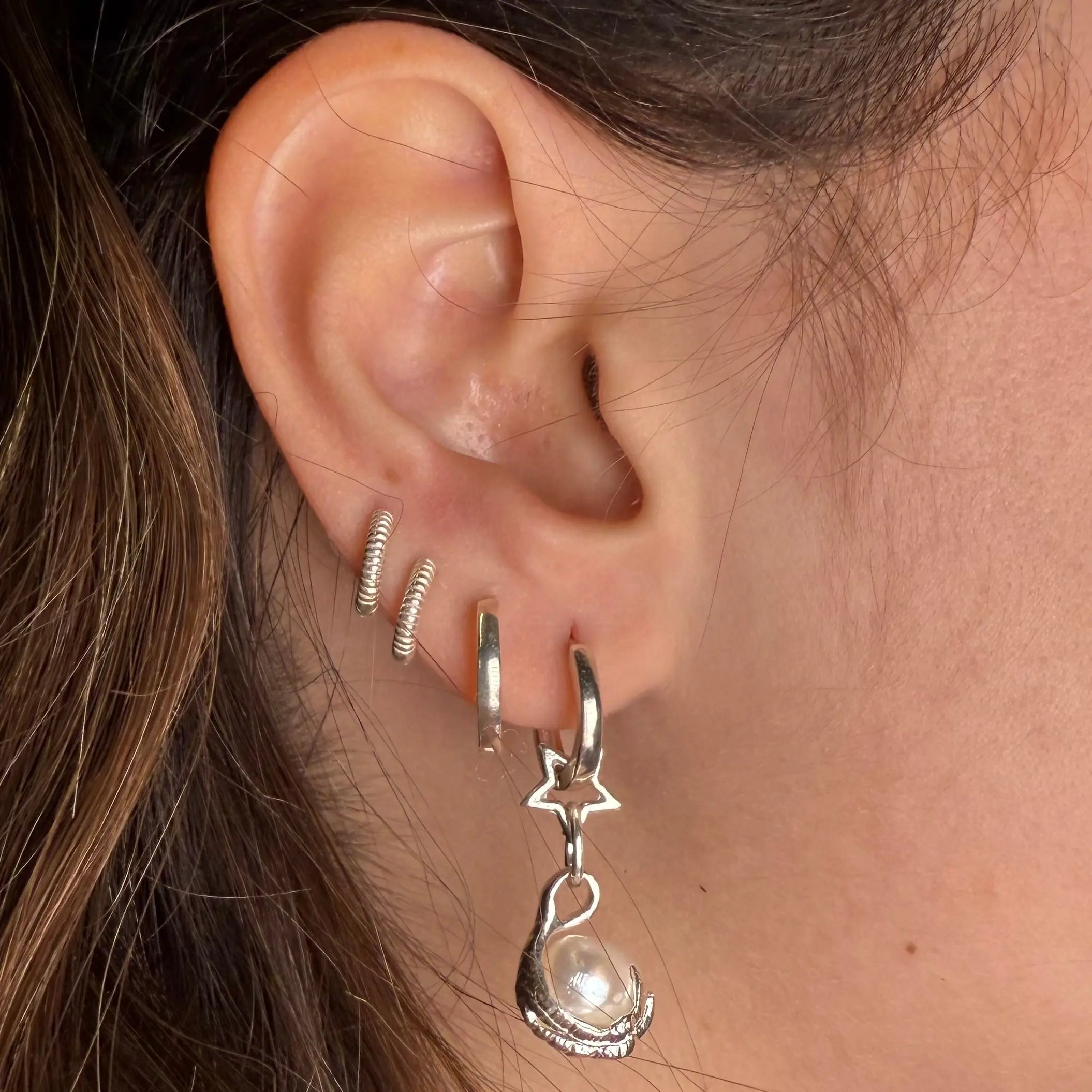 Stjärnklo - L8Hasselblad