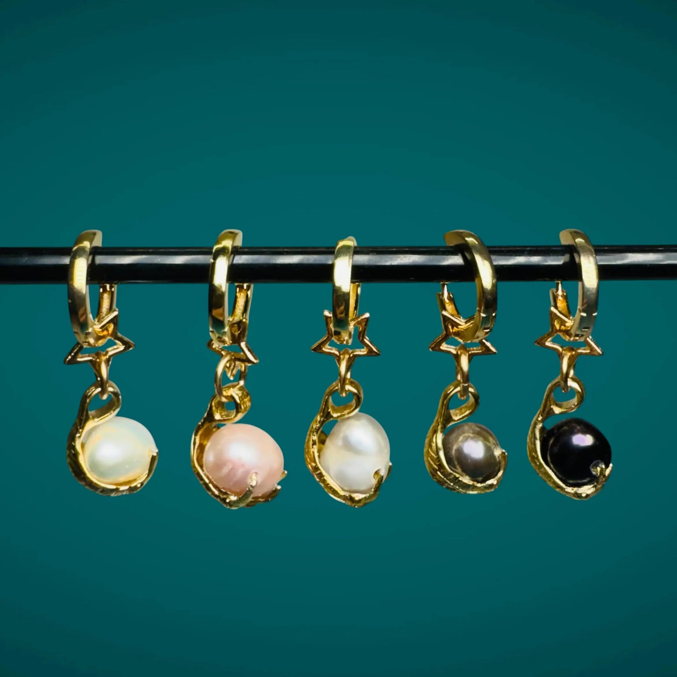 Stjärnklo - L8Hasselblad