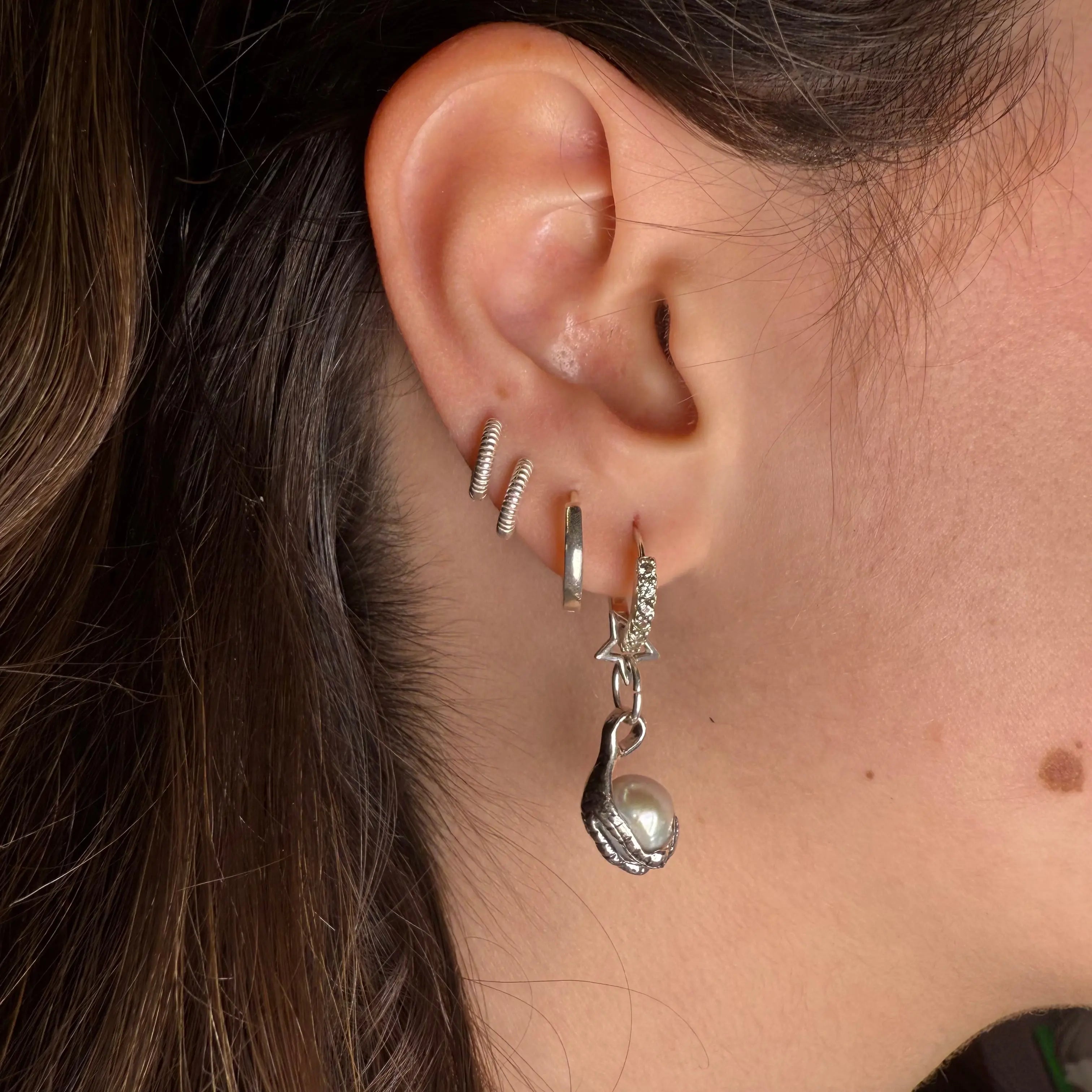 Stjärnklo - L8Hasselblad