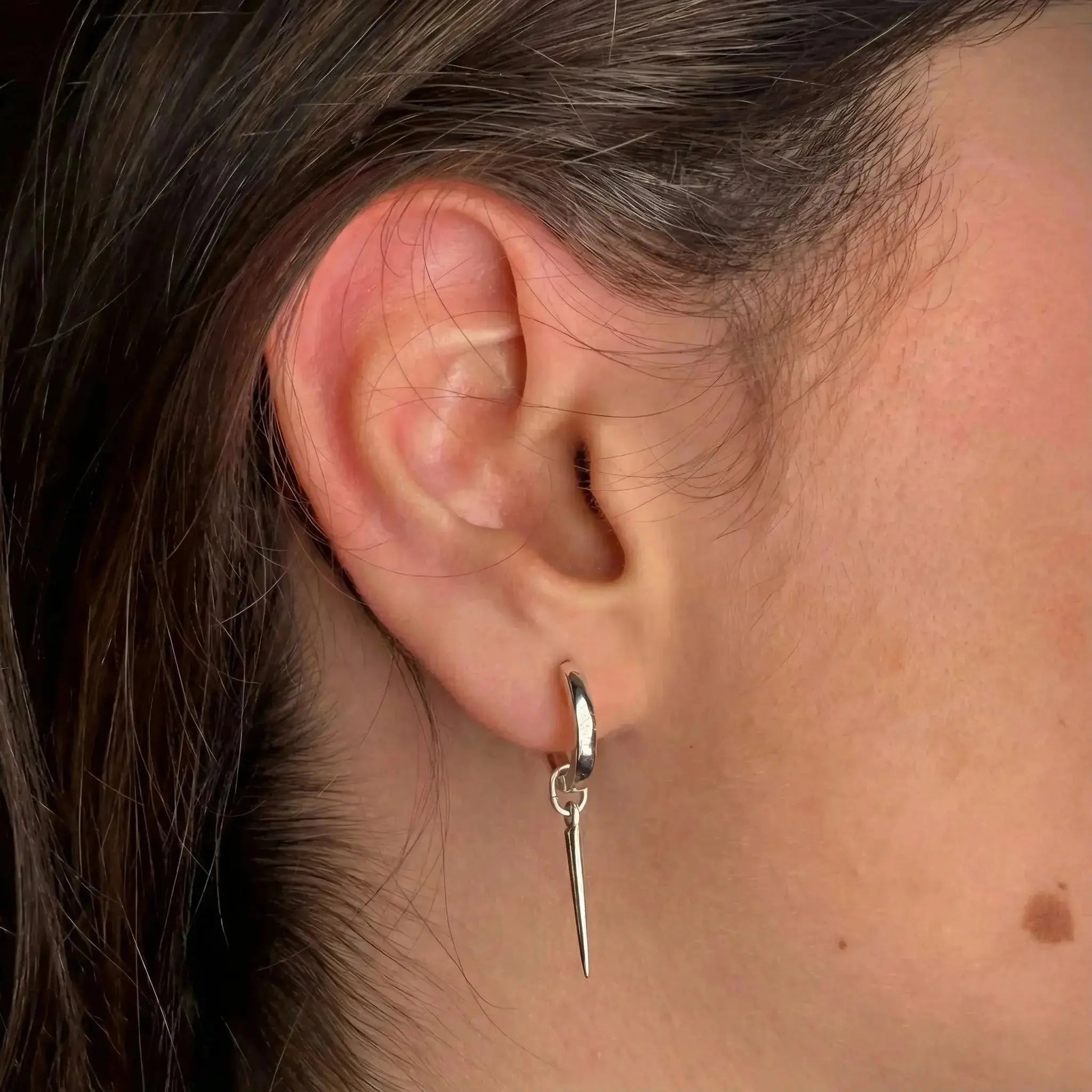 Tagg med Zirkoner Örhänge - L8Hasselblad