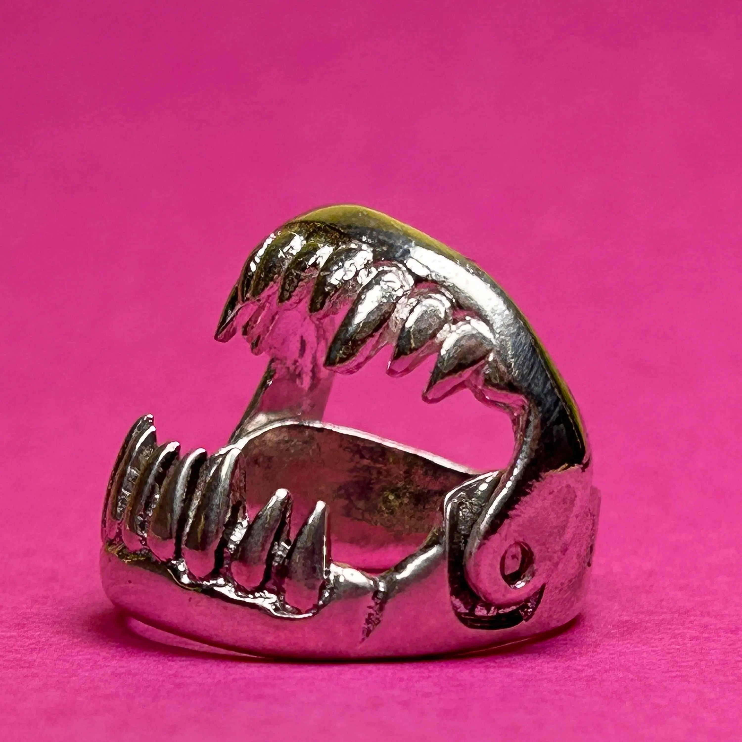 The Bite - L8Hasselblad