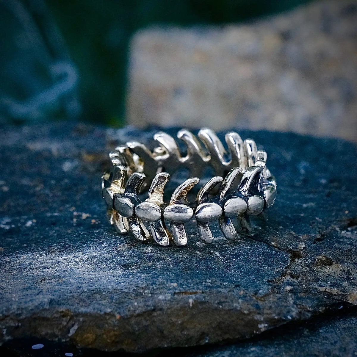 The Spine - Ring L8Hasselblad