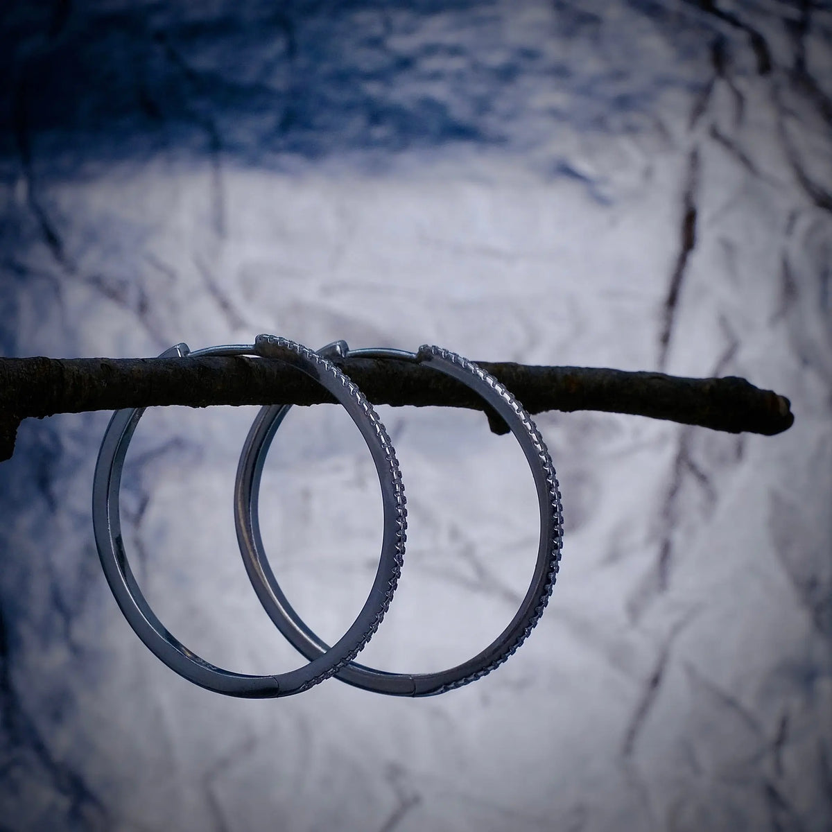 Twinkle Hoops L8Hasselblad