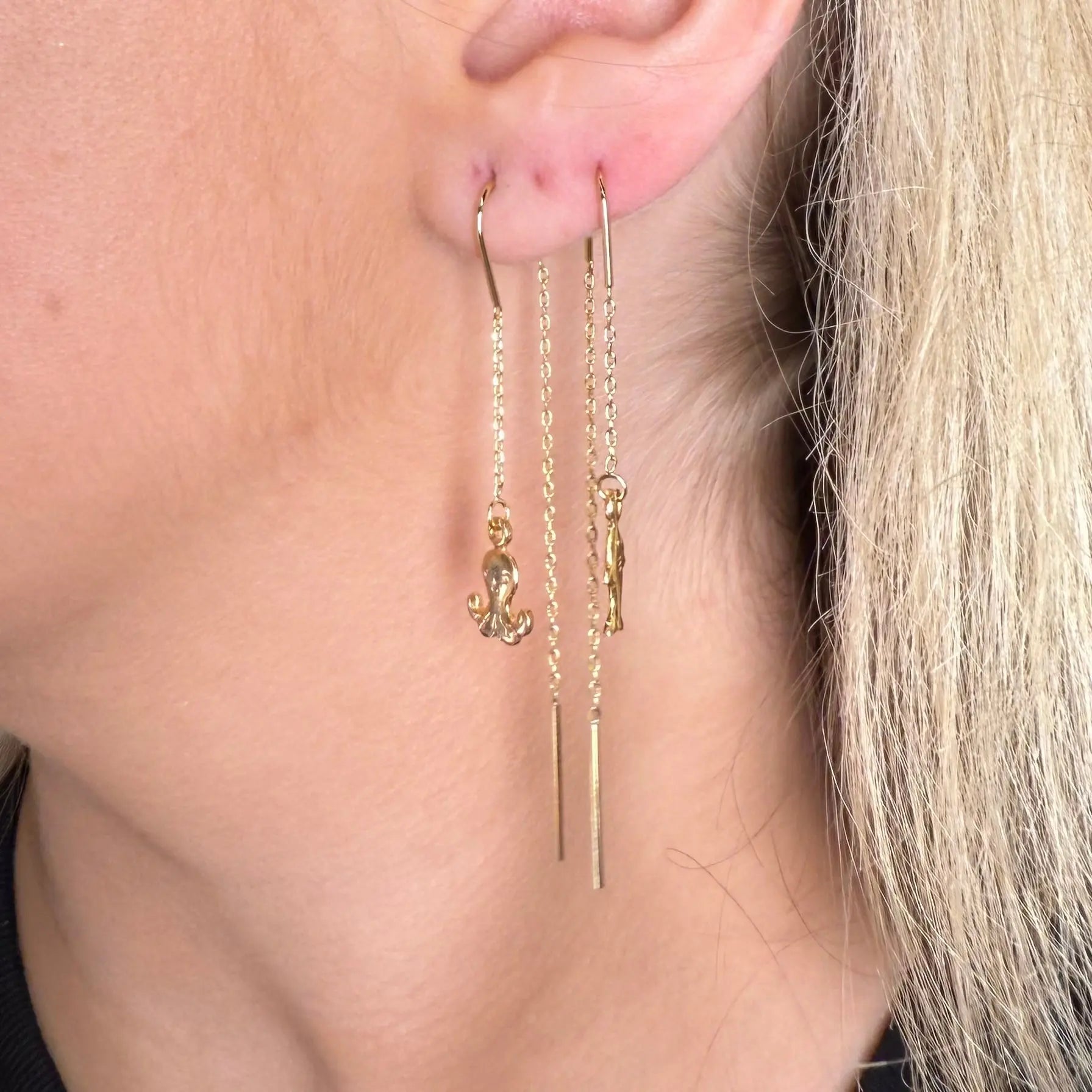 Världens skönaste - Animales - L8Hasselblad