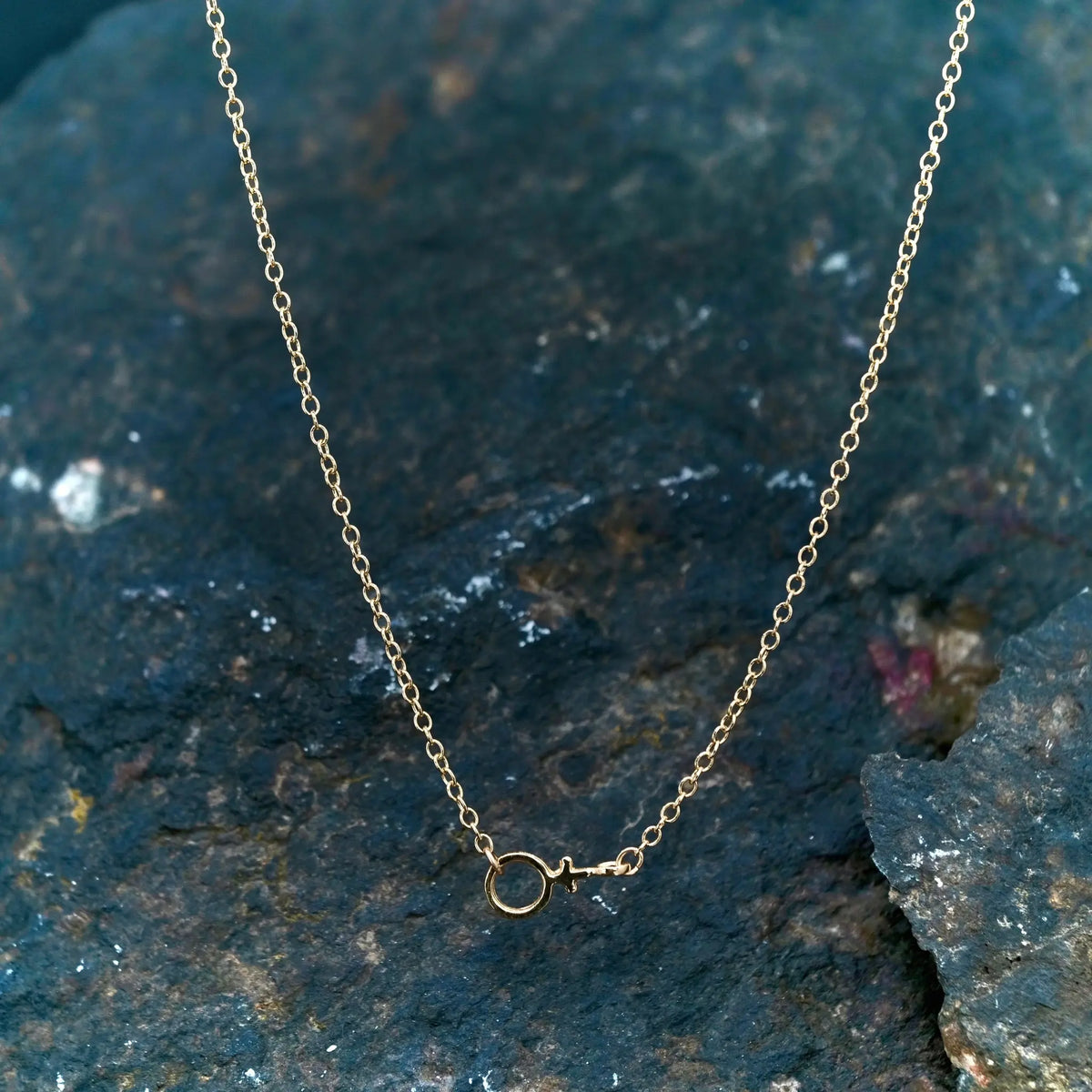 Venus - Halsband L8Hasselblad