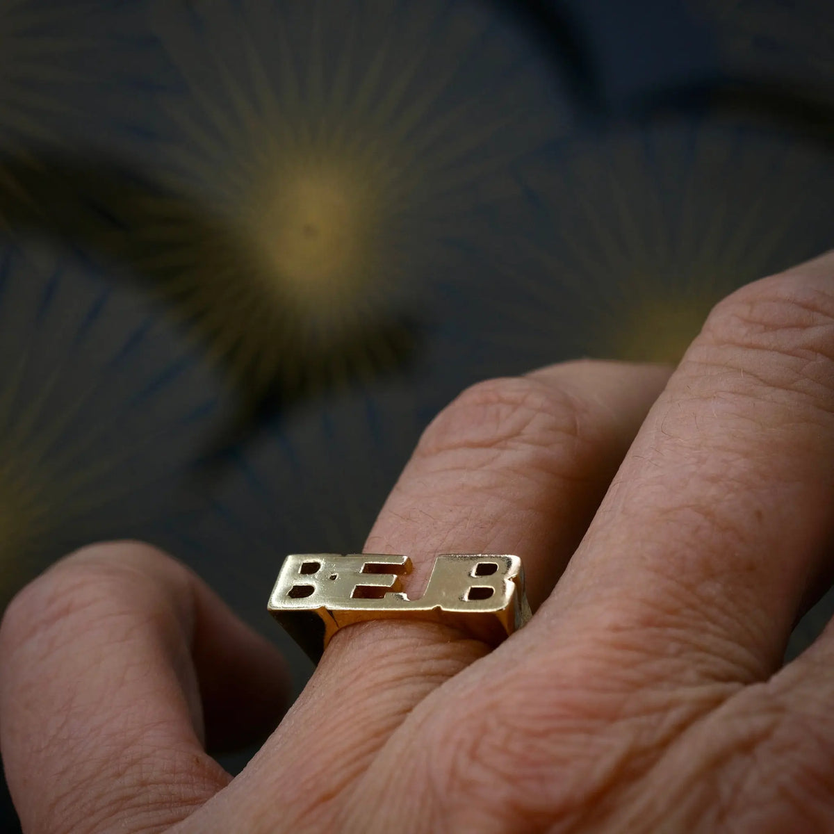 BEJB - Ordring L8Hasselblad