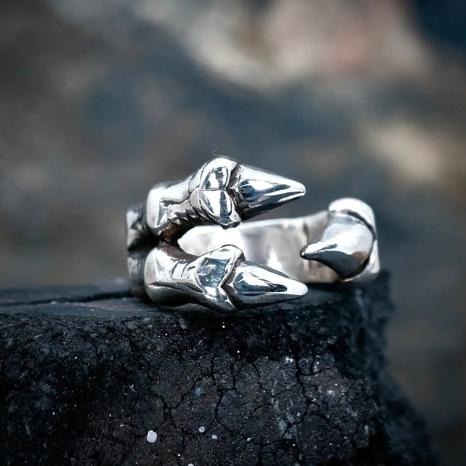 2.0 Hallux - Ring L8Hasselblad