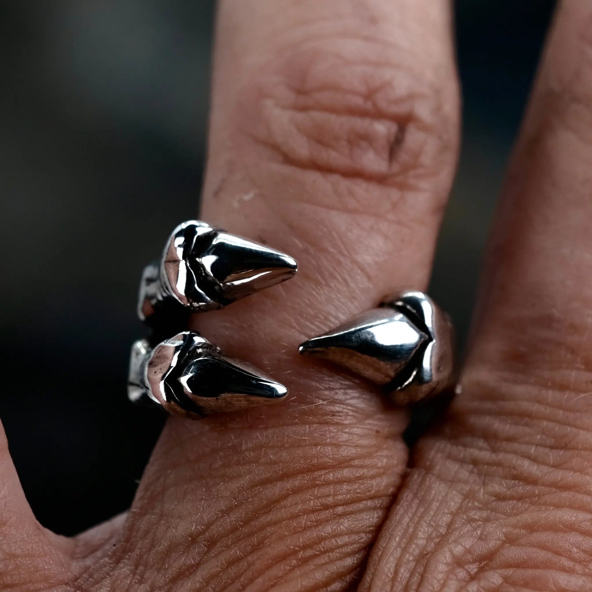 2.0 Hallux - Ring L8Hasselblad