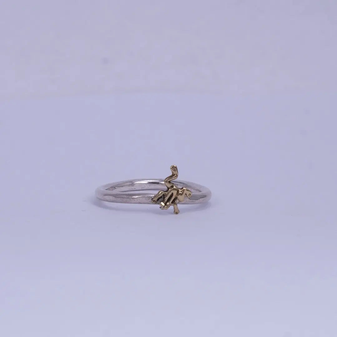 2mm Groda & myra ring L8Hasselblad