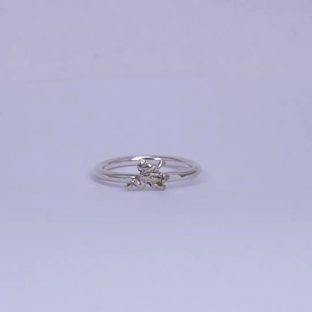 2mm Groda & myra ring L8Hasselblad