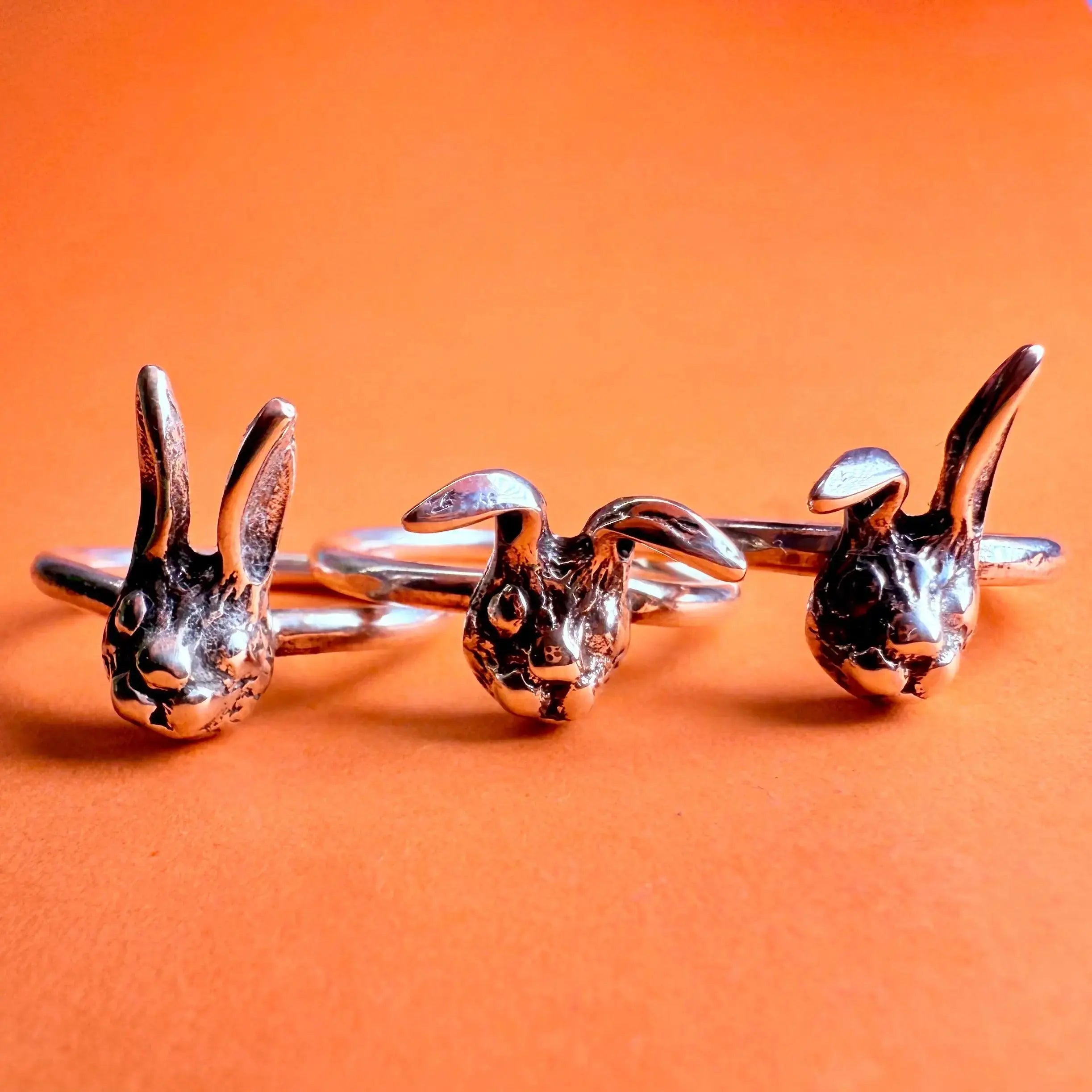 2mm Kanin ring - L8Hasselblad