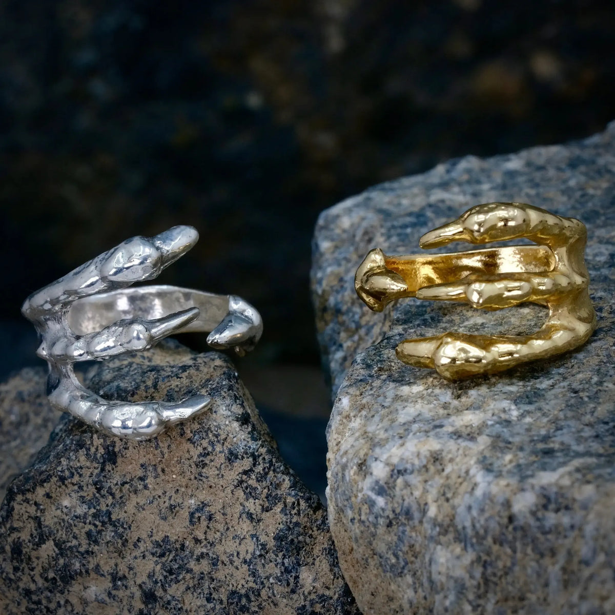 4 Claws - Ring L8Hasselblad