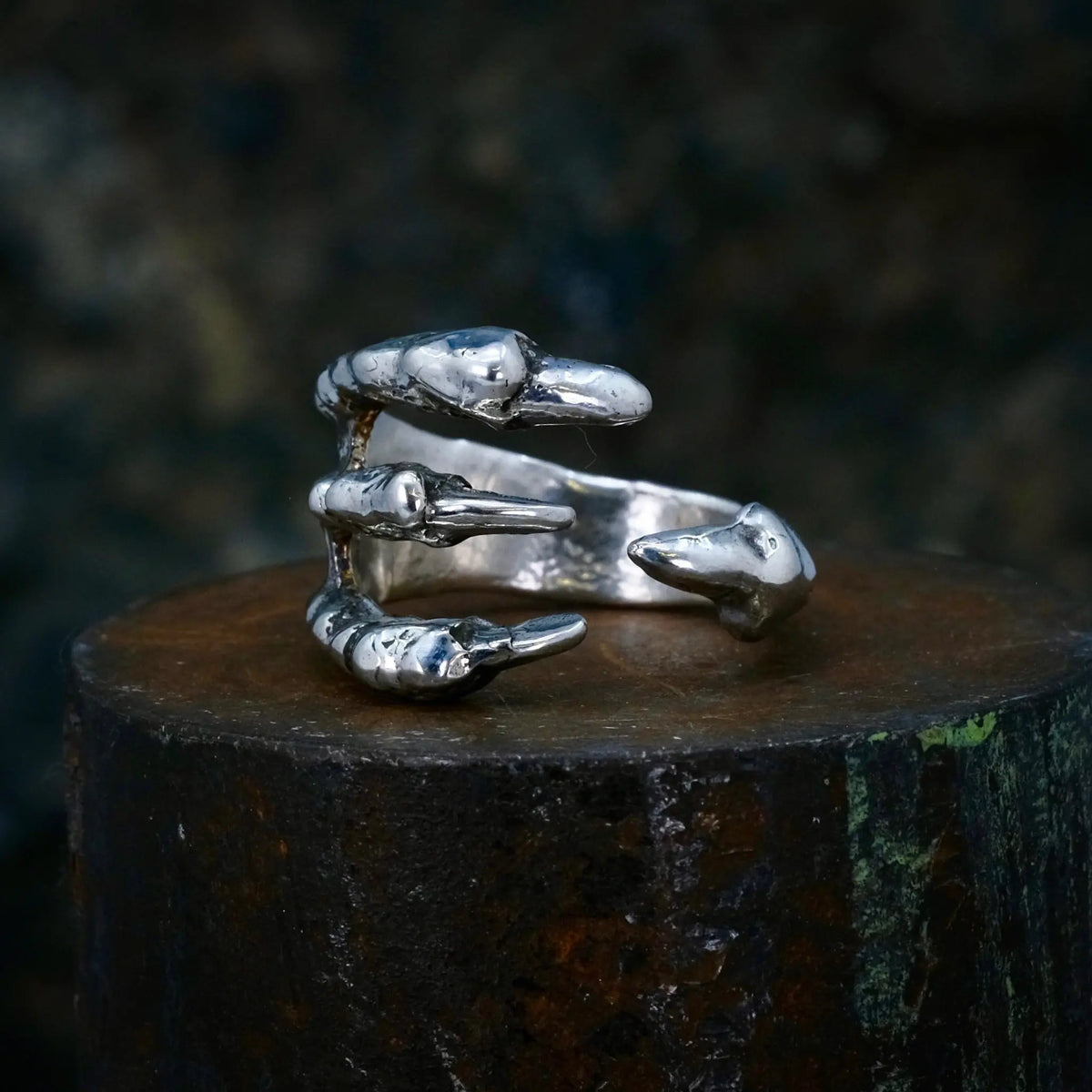 4 Claws - Ring L8Hasselblad