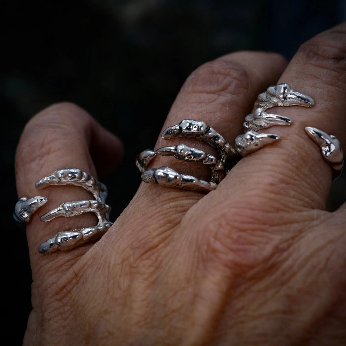 4 Claws - Ring L8Hasselblad