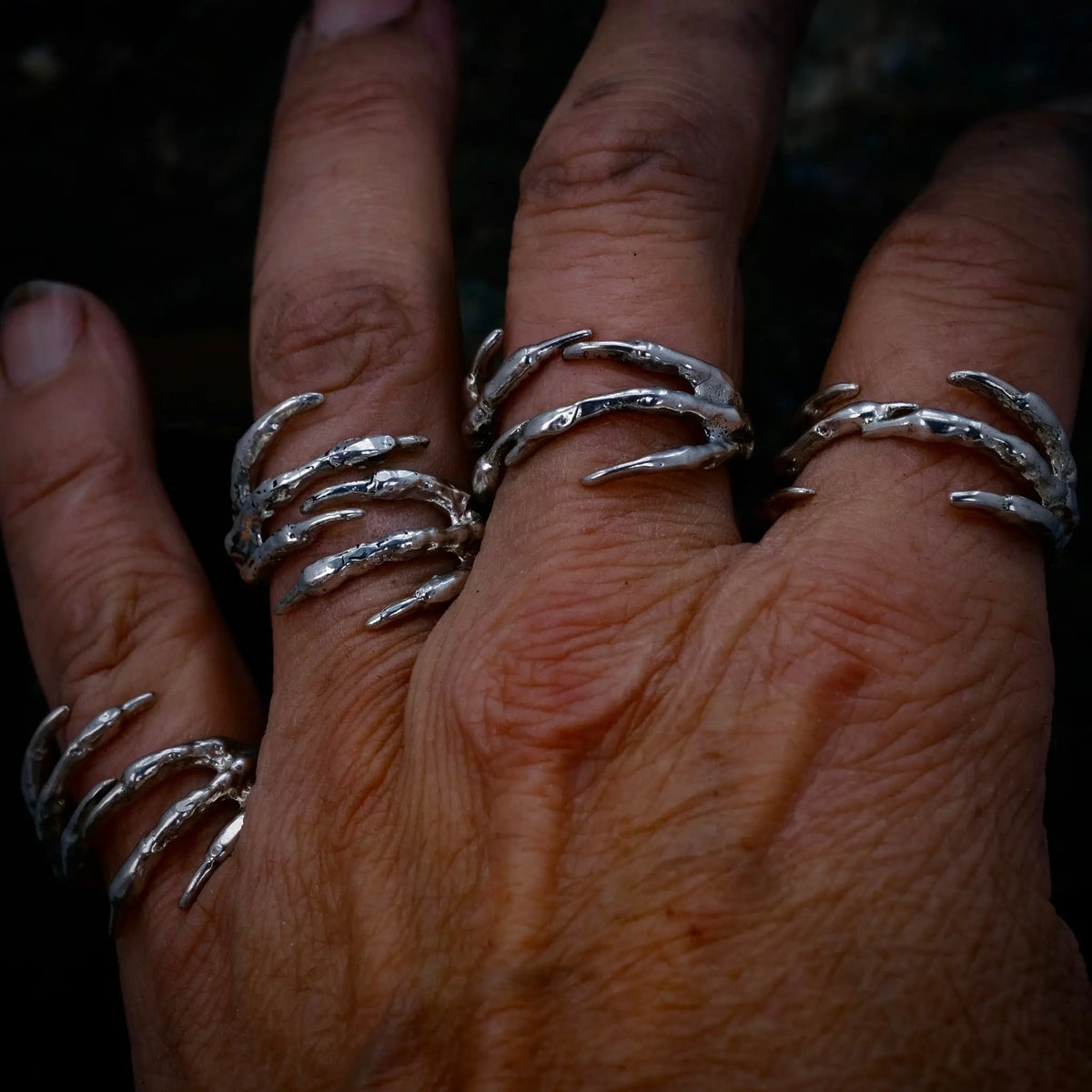 6 Claws - Ring L8Hasselblad