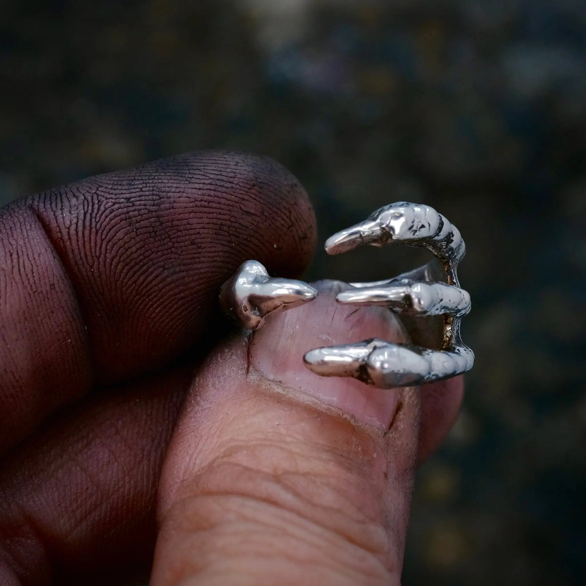 4 Claws - Ring L8Hasselblad