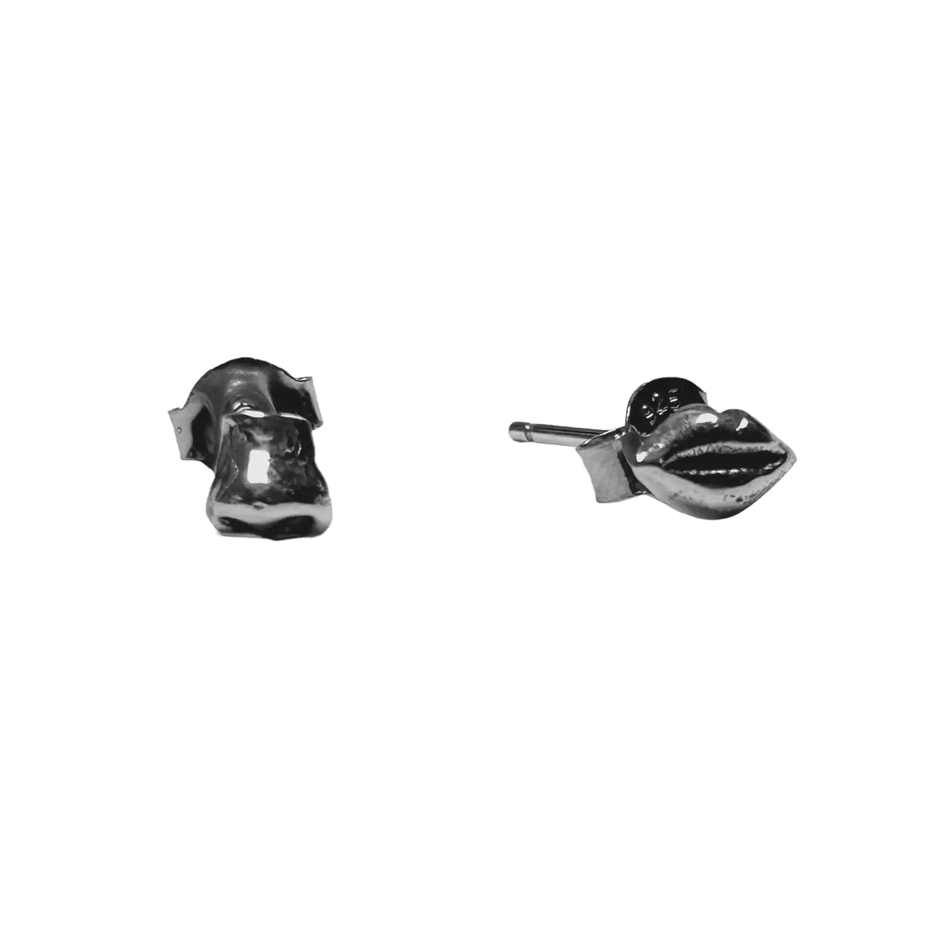 Stiftörhängen - Sinnena L8Hasselblad