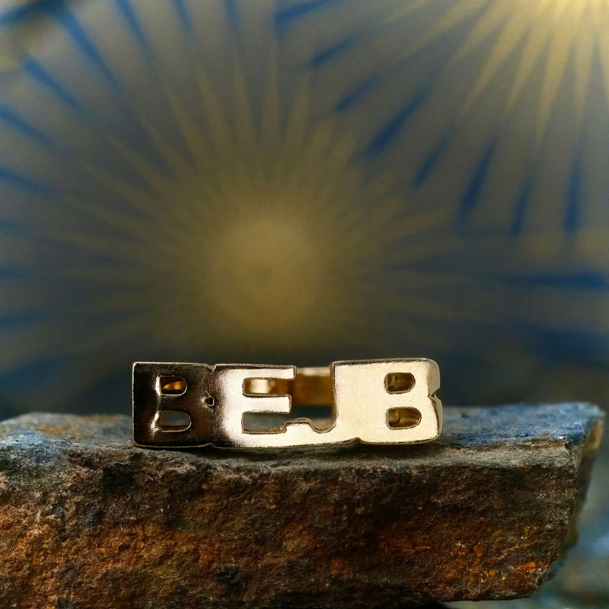 BEJB - Ordring L8Hasselblad