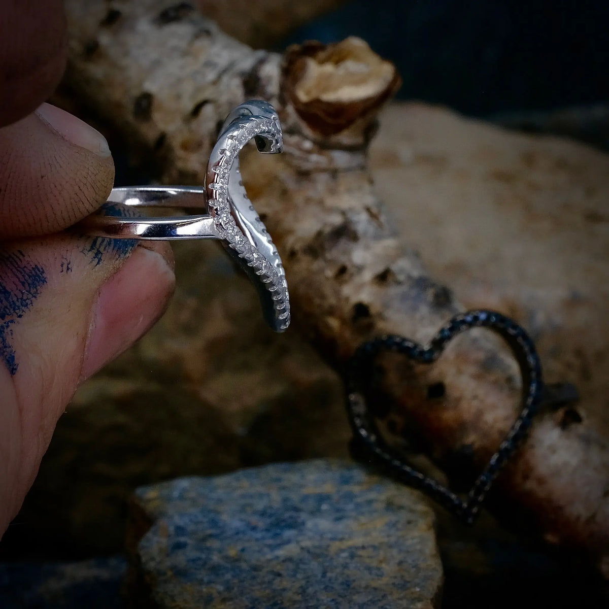 Amoria - Ring L8Hasselblad