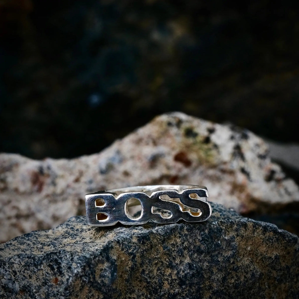 BOSS - Ordring L8Hasselblad