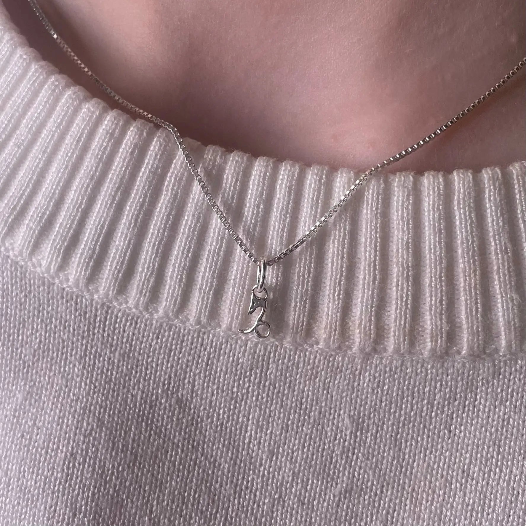 Berlock - Stjärntecken - L8Hasselblad