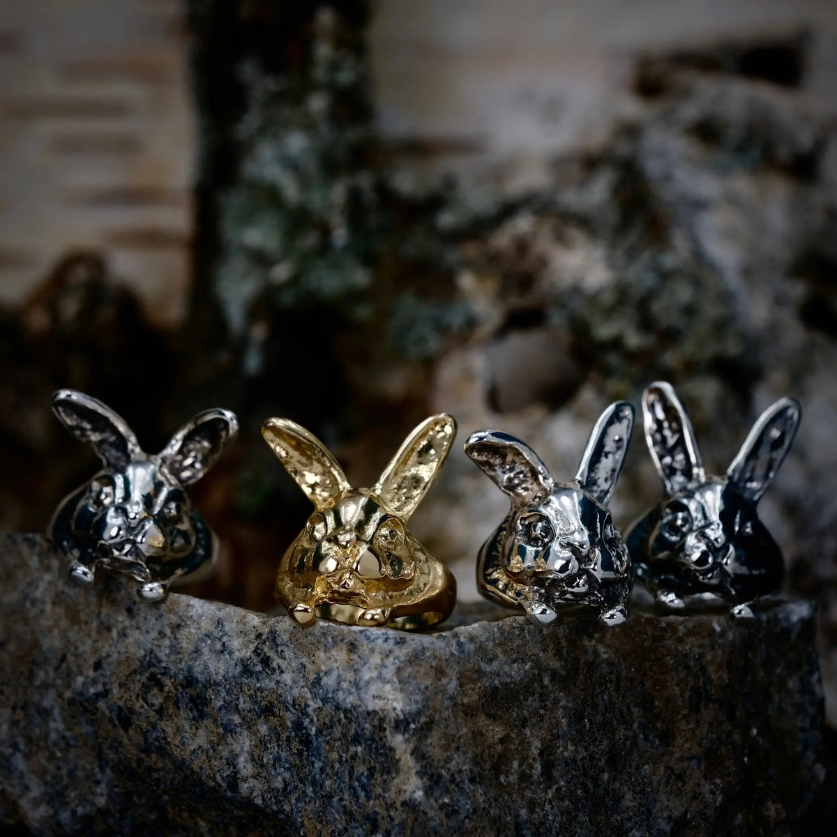 Bunny - Ring L8Hasselblad