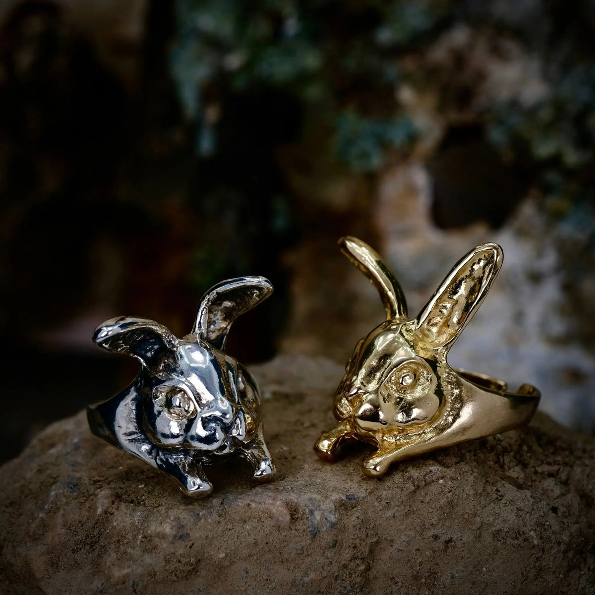 Bunny - Ring L8Hasselblad