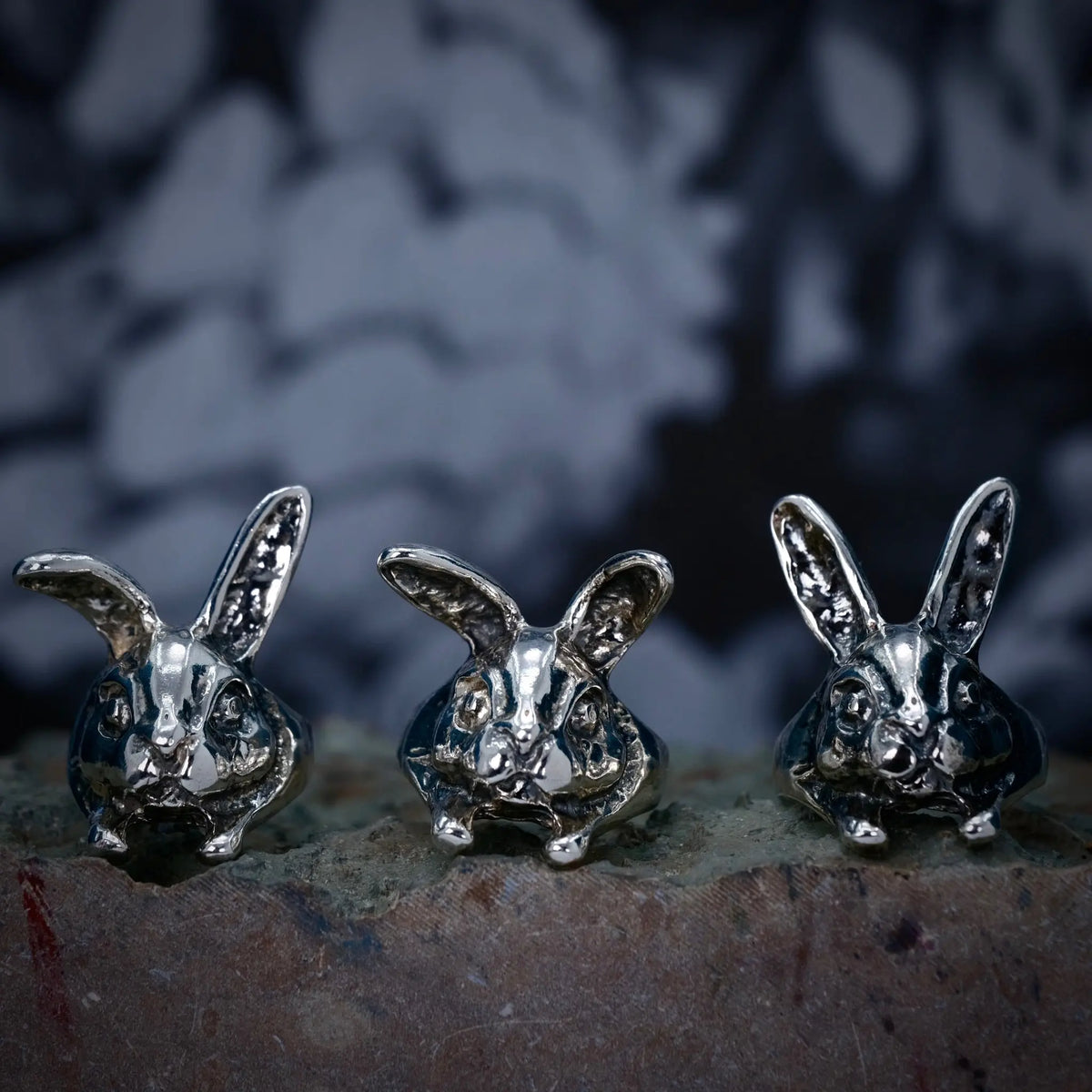 Bunny - Ring L8Hasselblad