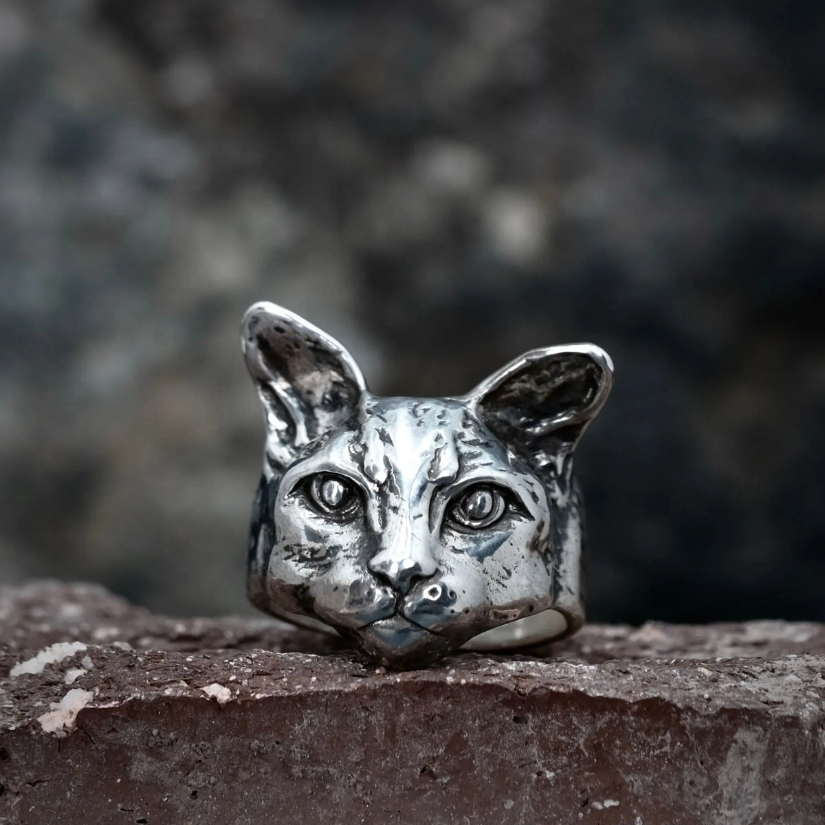Catitude - Ring L8Hasselblad