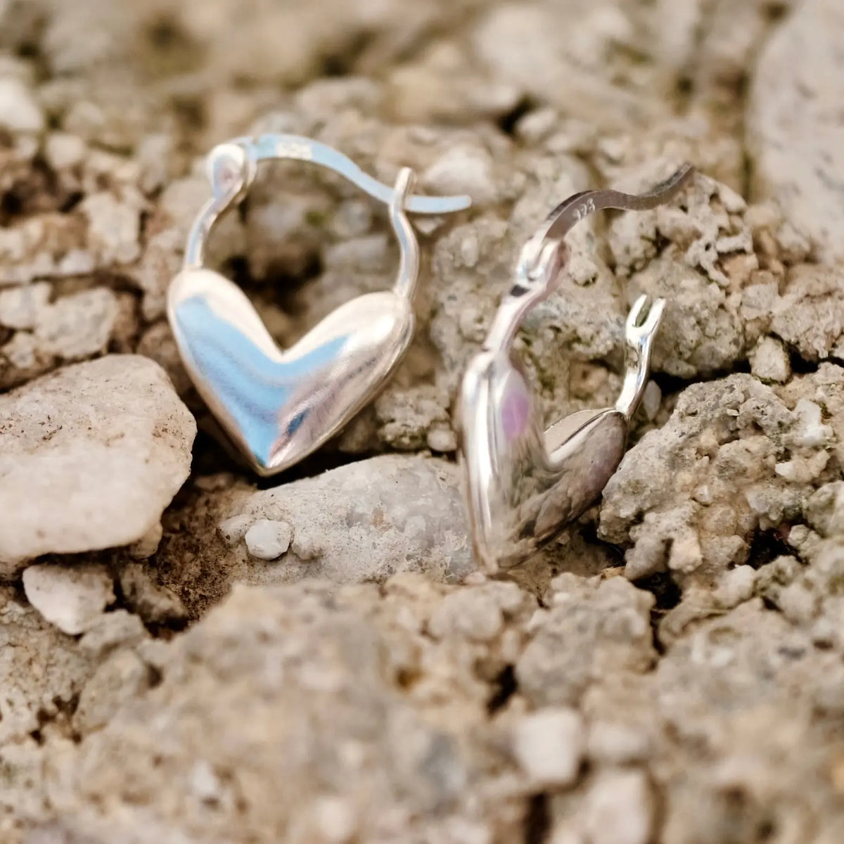 Cordelia hoops L8Hasselblad