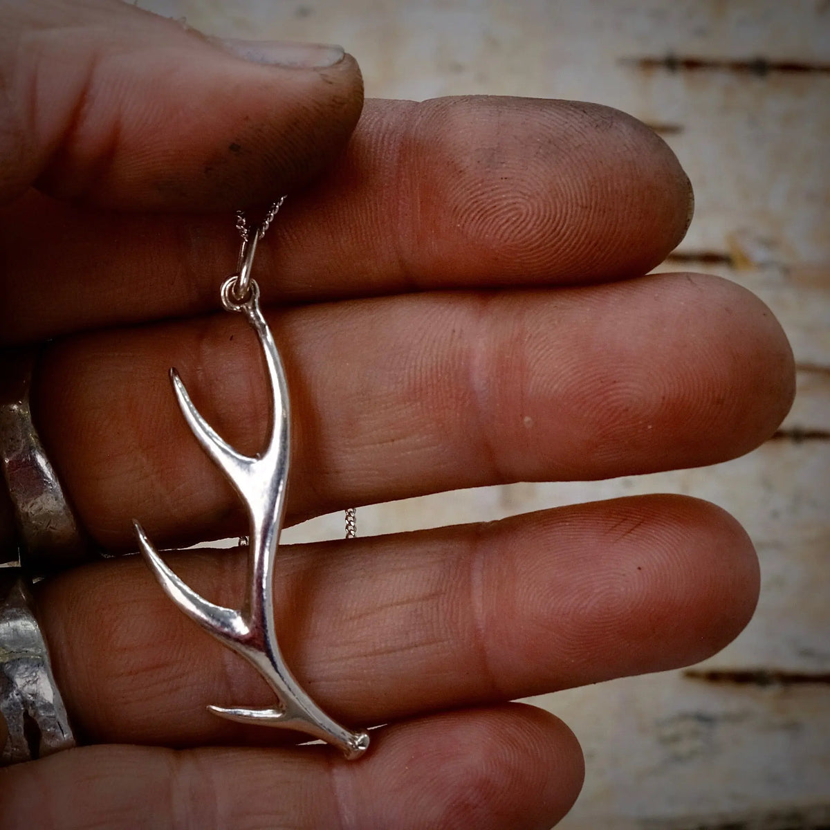 Hornet - Halsband L8Hasselblad