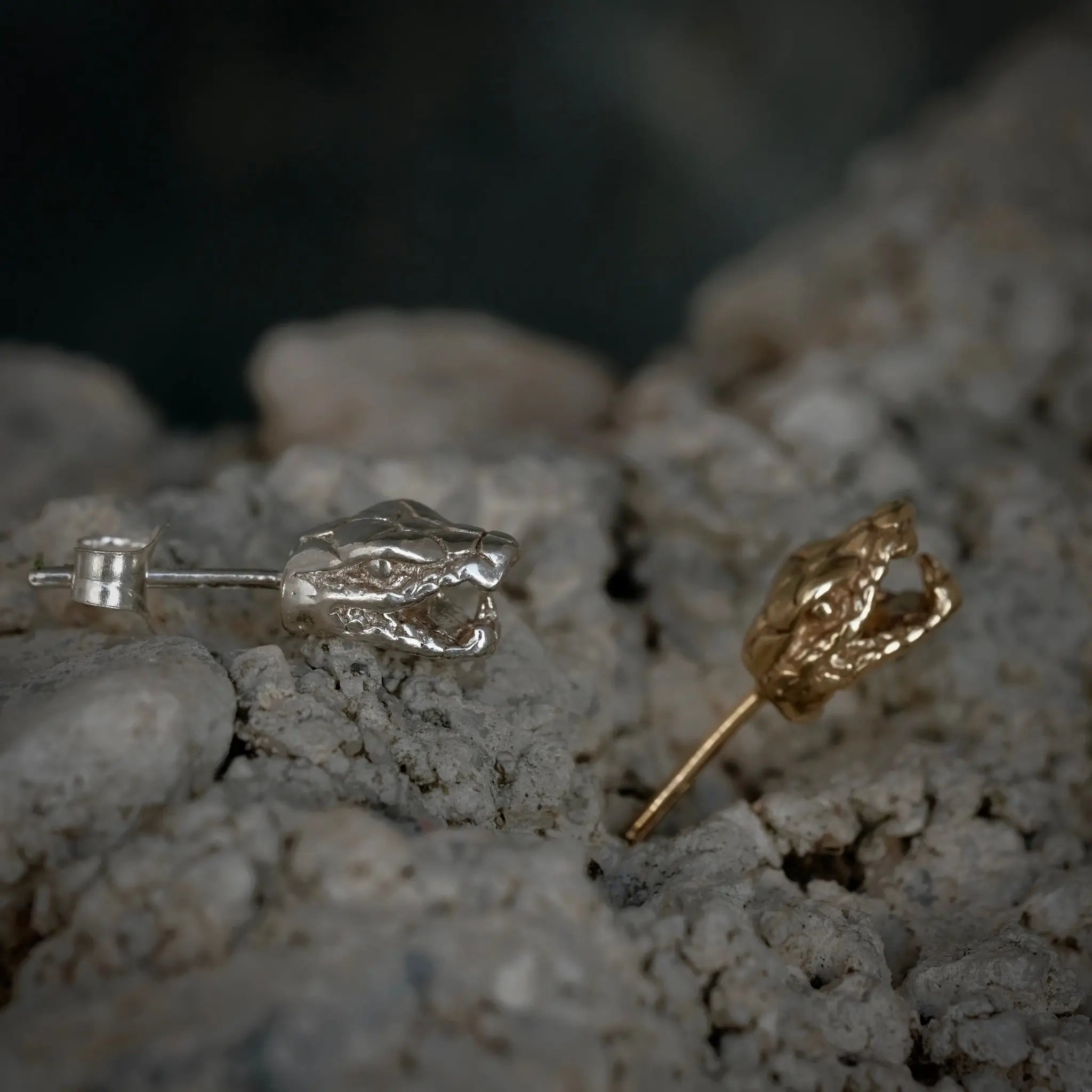 Ormhuvud - Stiftörhänge L8Hasselblad